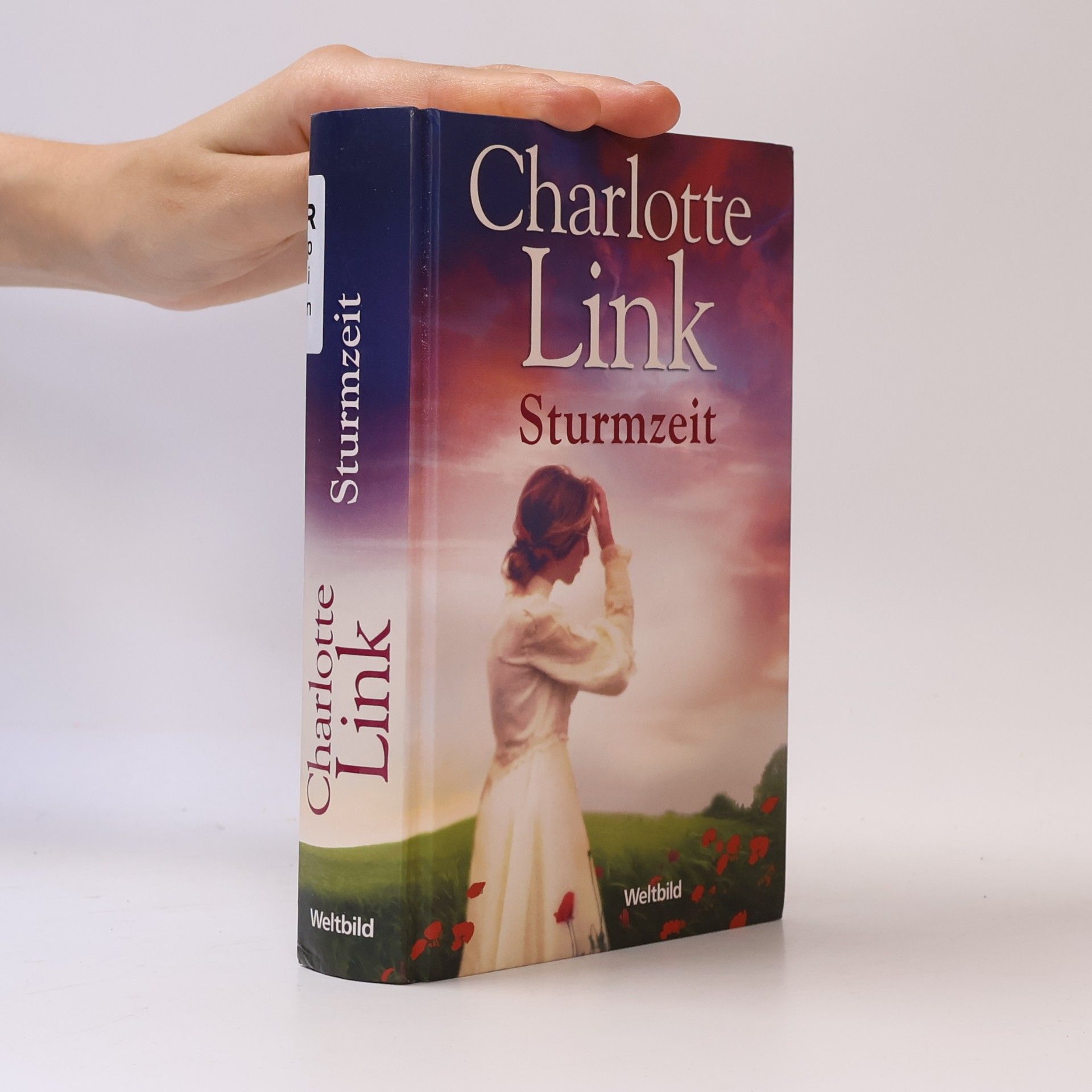 Charlotte Link Sturmzeit