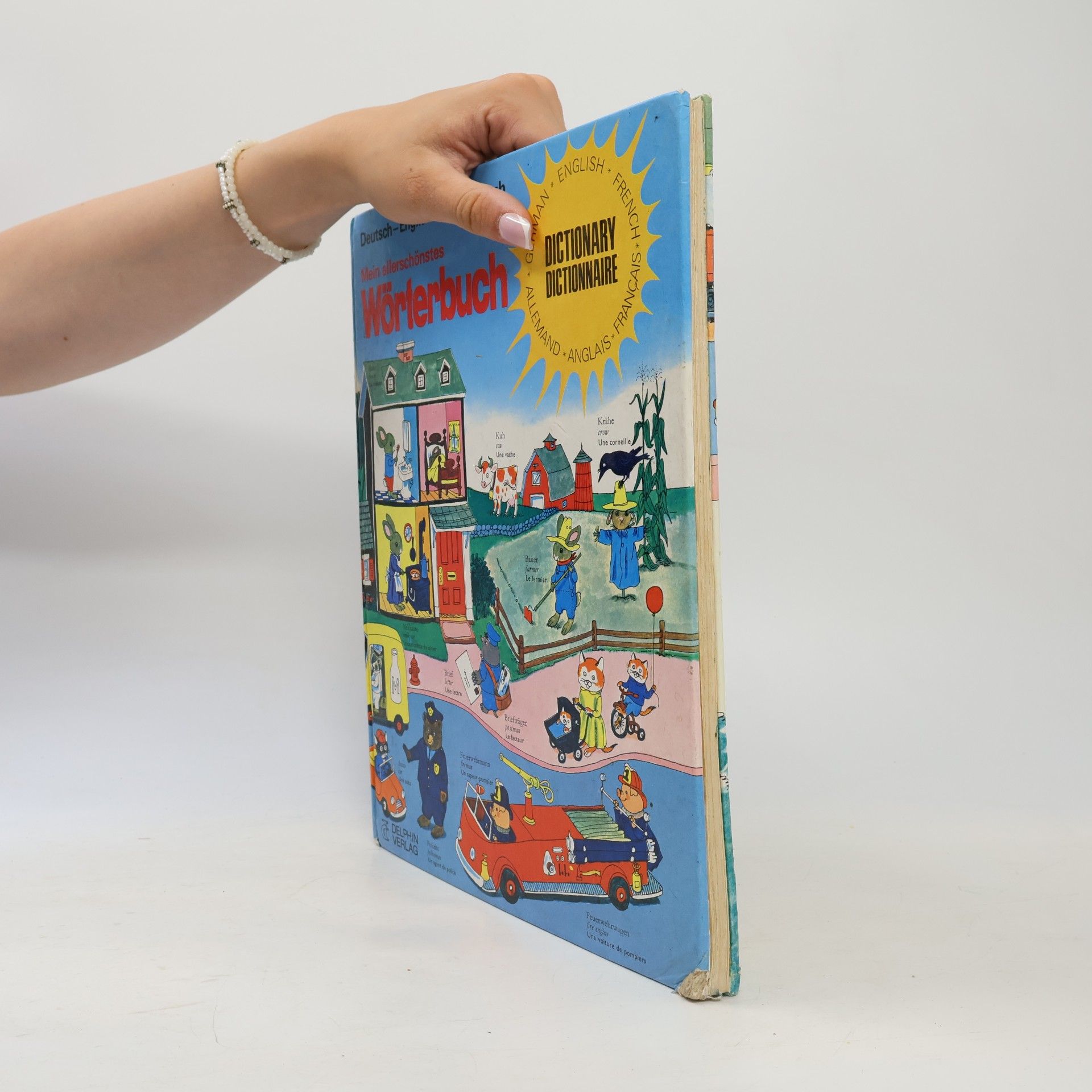 AA.VV. Mein allerschönstes Wörterbuch - mit mehr als 1200 bunten Zeichnungen und Wörten - Deutsch, English, Französisch