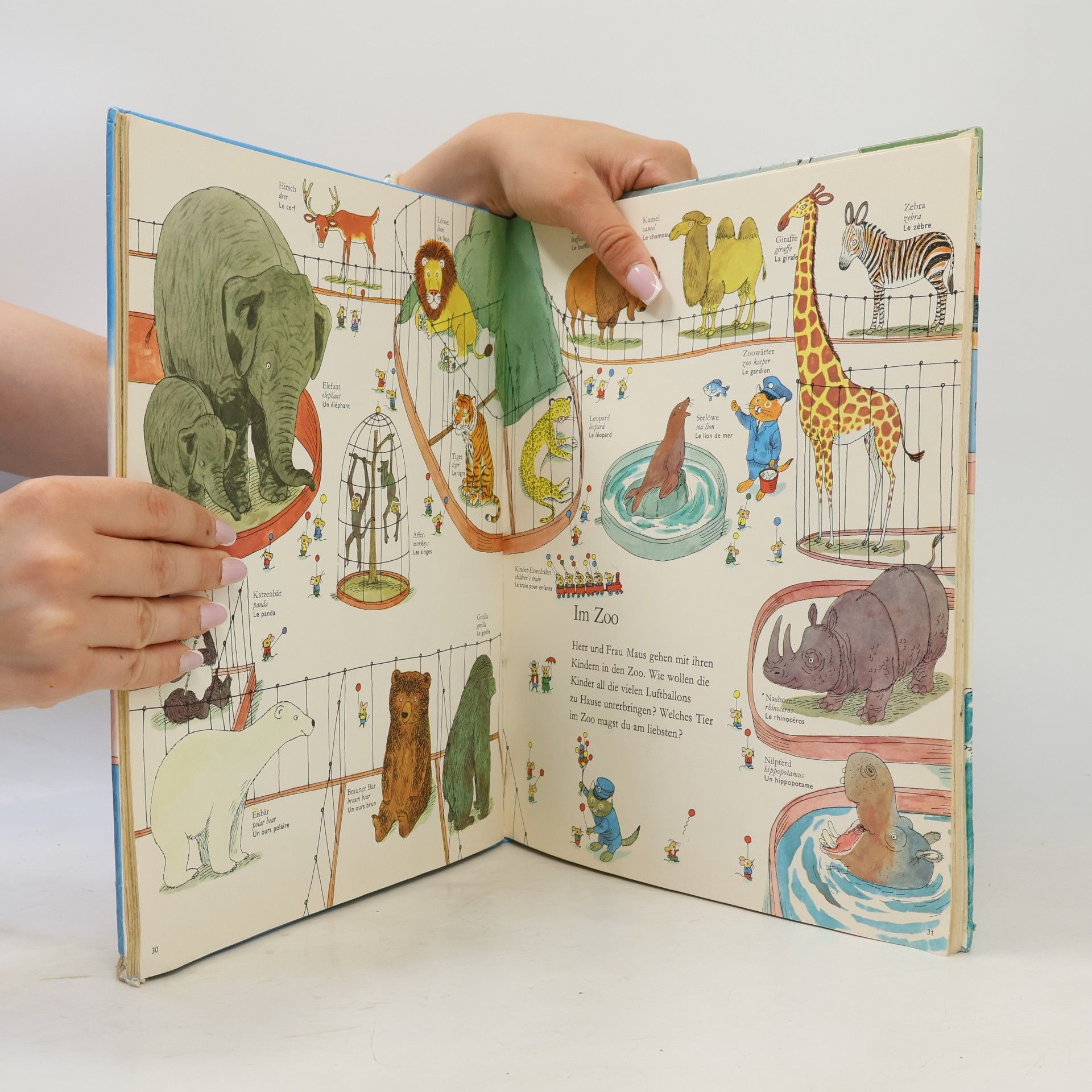 AA.VV. Mein allerschönstes Wörterbuch - mit mehr als 1200 bunten Zeichnungen und Wörten - Deutsch, English, Französisch