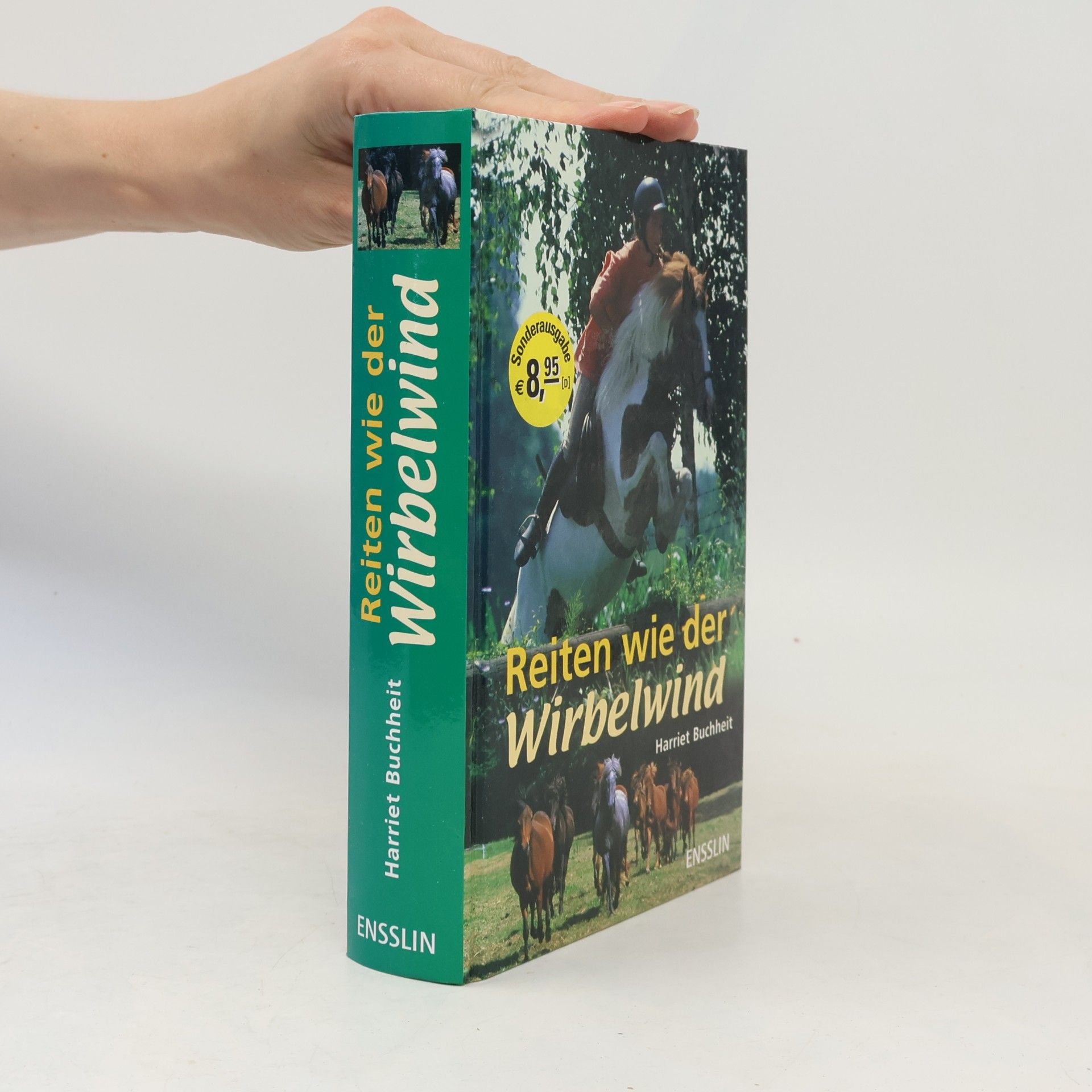 Reiten wie der Wirbelwind