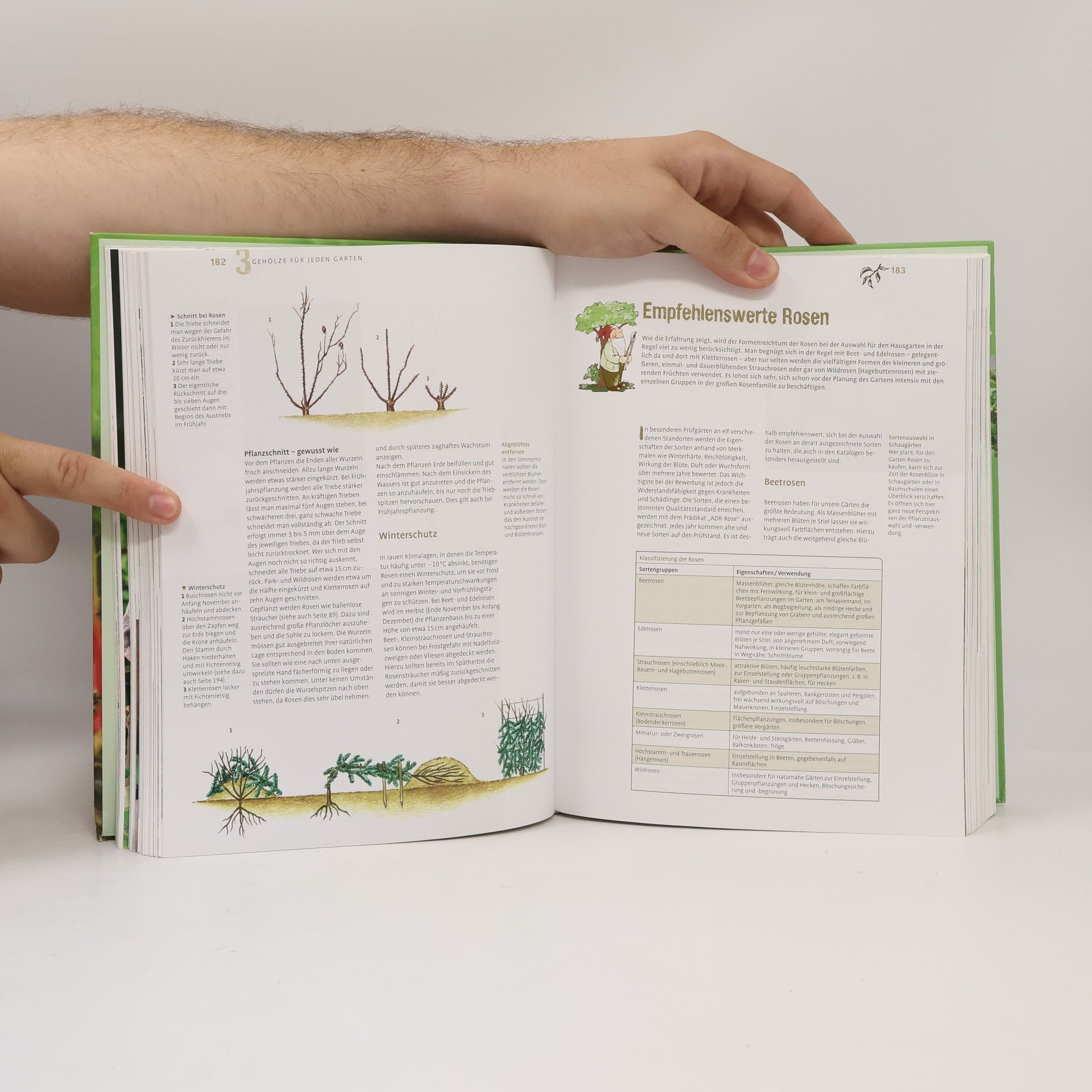 Wolfgang Kawollek Das große Ulmer Gartenbuch
