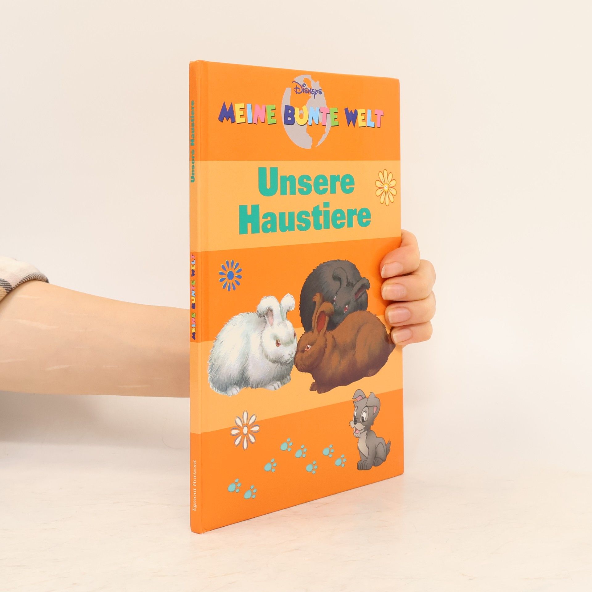 Autorenkollektiv Meine bunte Welt: Unsere Haustiere