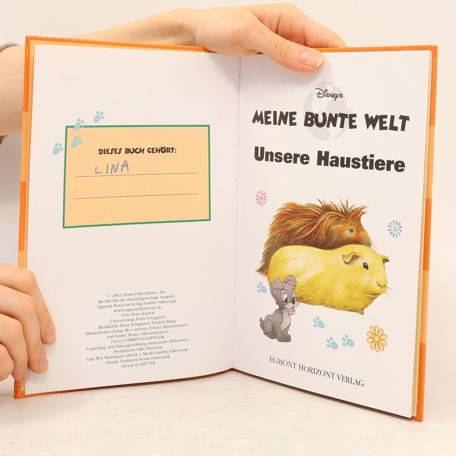 Autorenkollektiv Meine bunte Welt: Unsere Haustiere