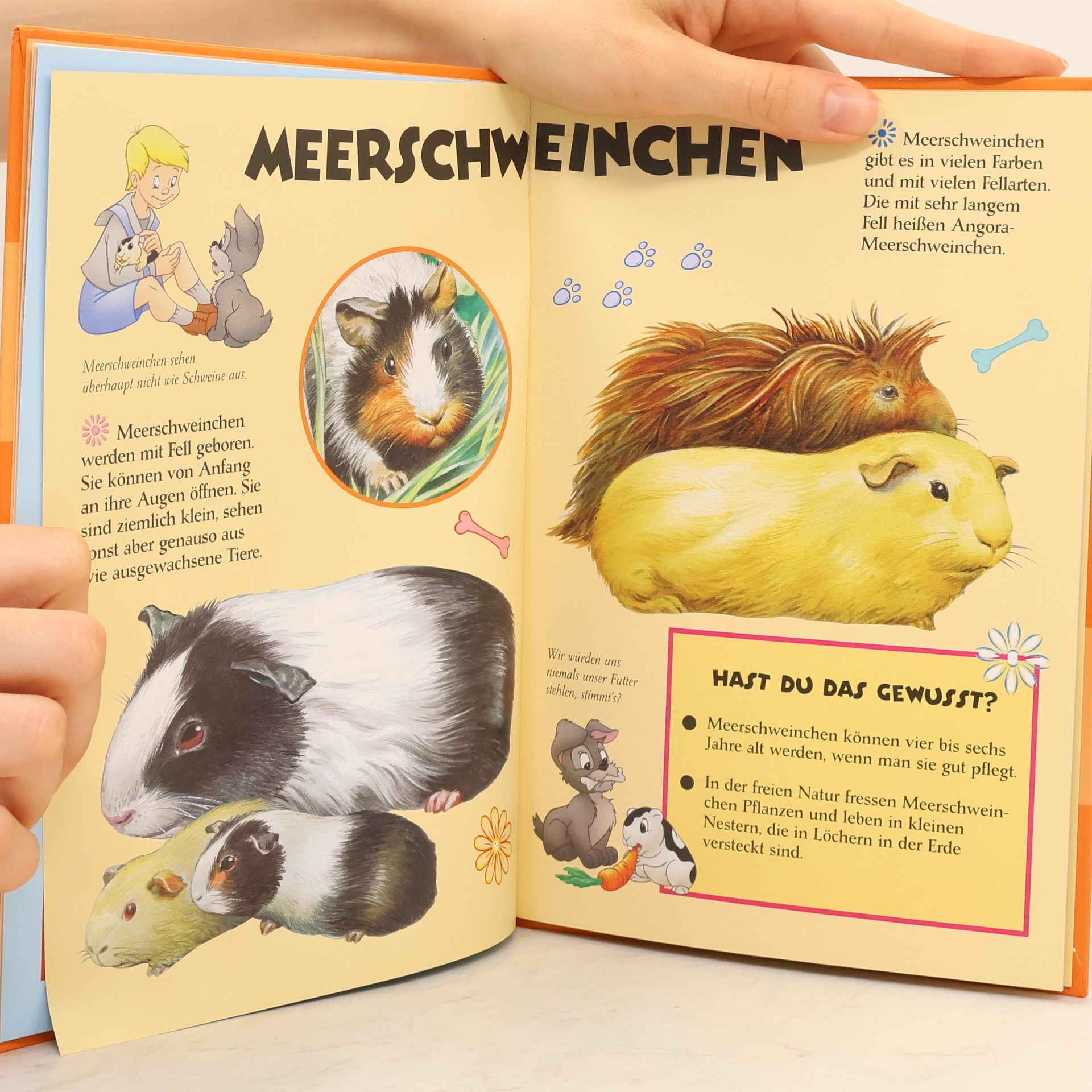 Autorenkollektiv Meine bunte Welt: Unsere Haustiere