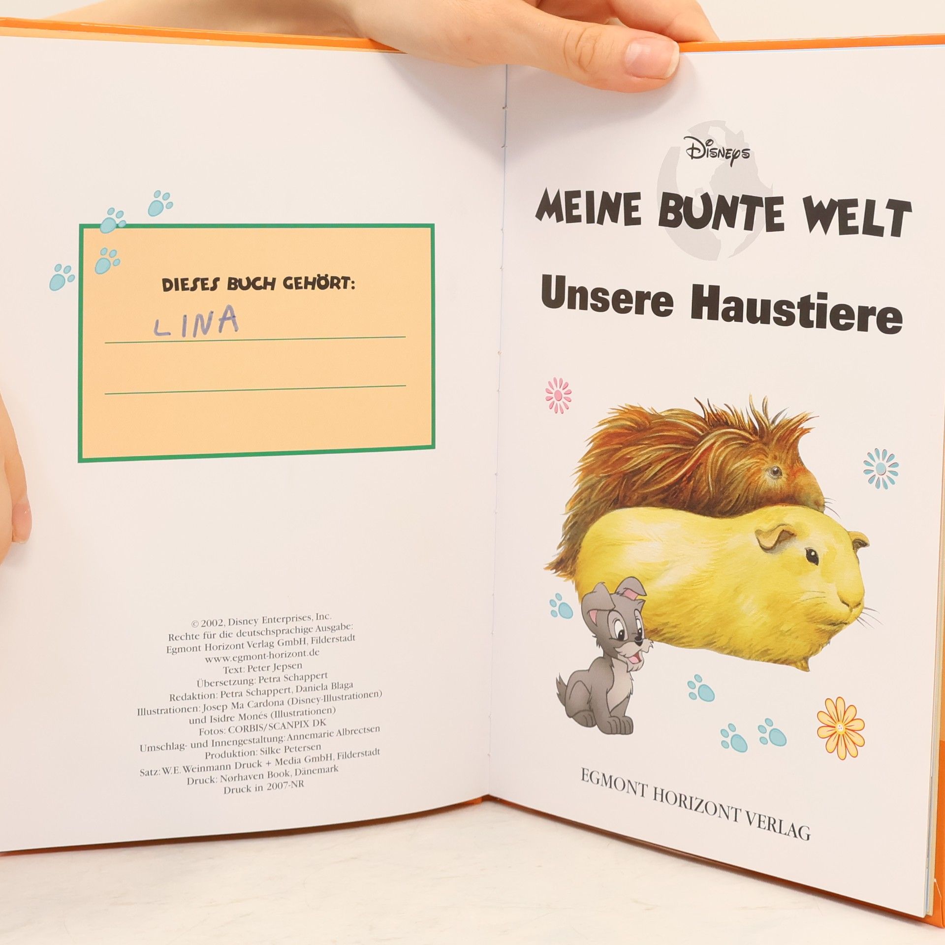 Autorenkollektiv Meine bunte Welt: Unsere Haustiere