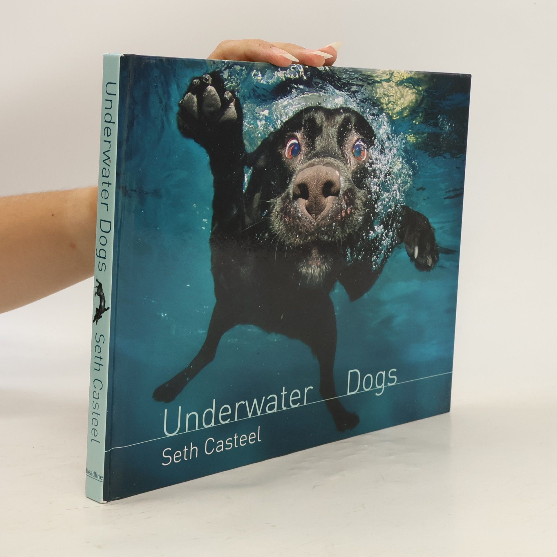 Seth Casteel Underwater dogs