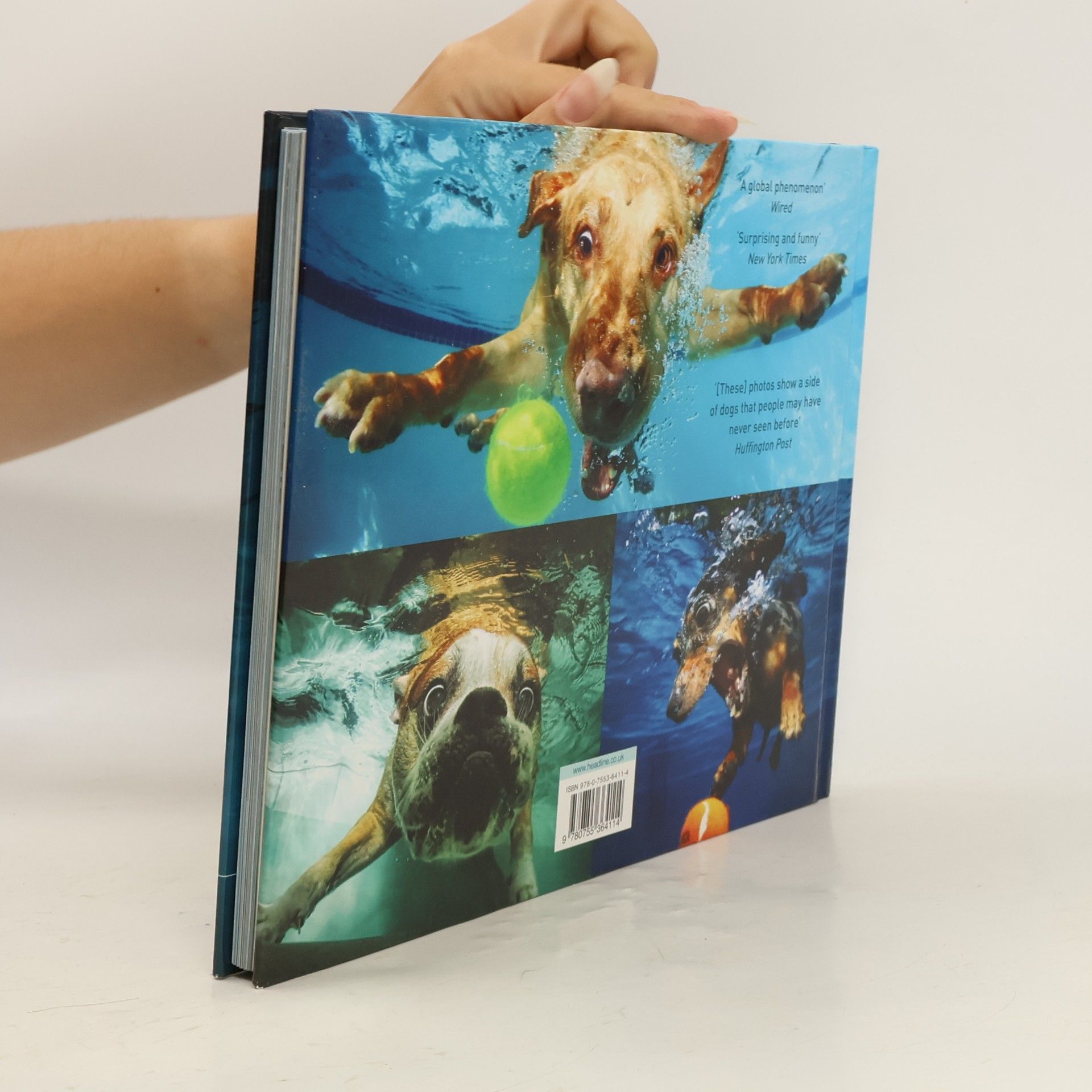 Seth Casteel Underwater dogs