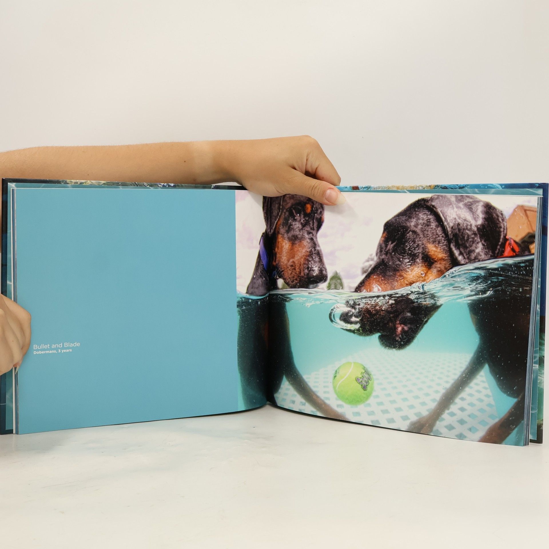 Seth Casteel Underwater dogs