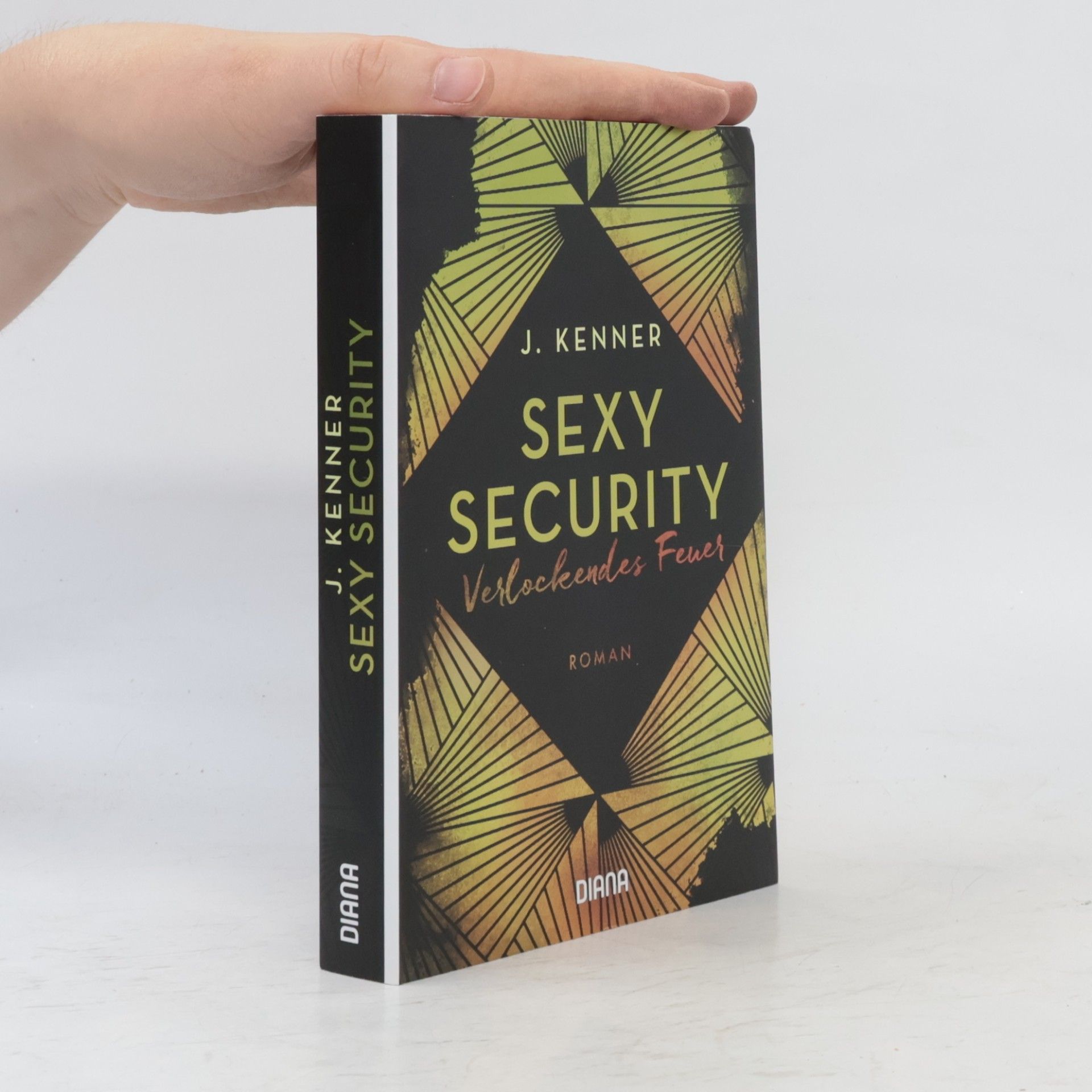 Julie Kenner Sexy Security: Verlockendes Feuer