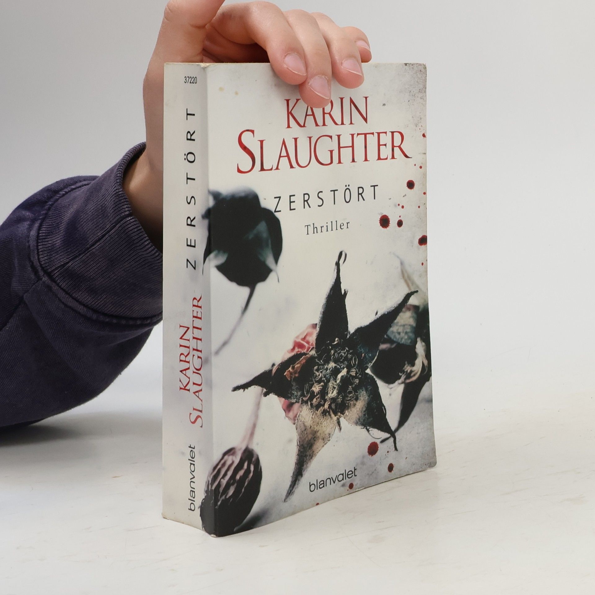 Karin Slaughter Zerstört