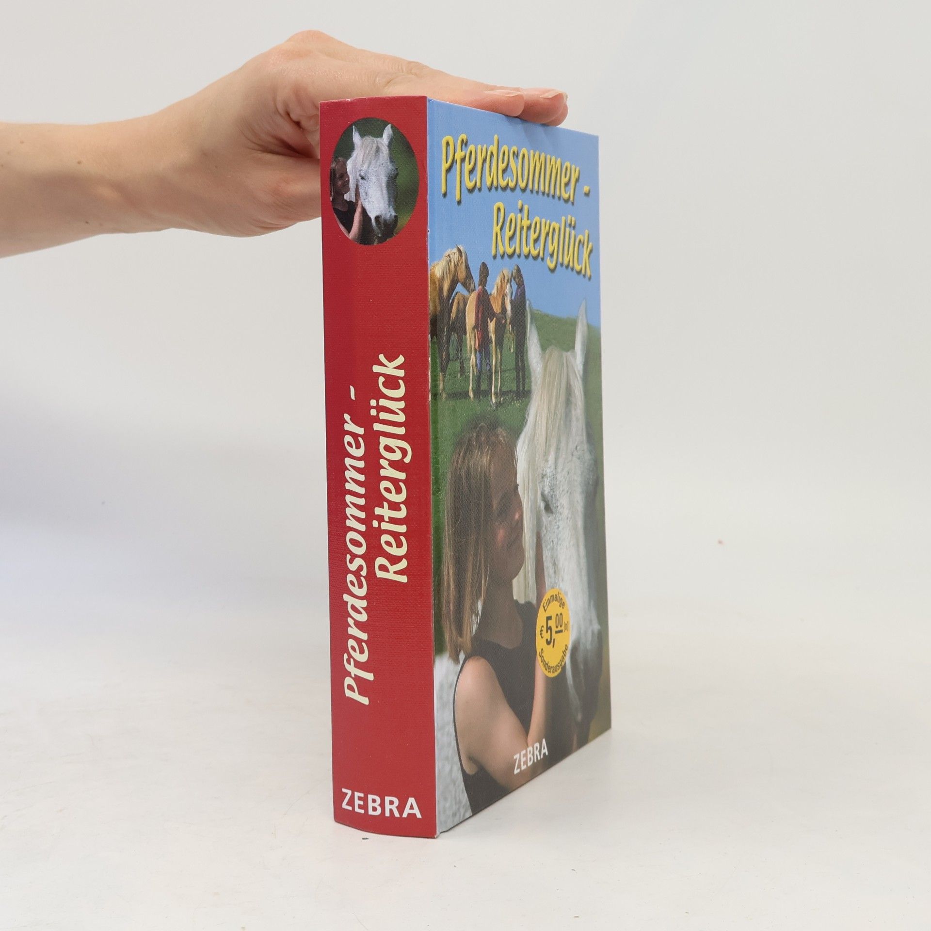 Pferdesommer - Reiterglück. Pferdesommer in Schweden; Wo noch wilde Ponys leben. Jumboband