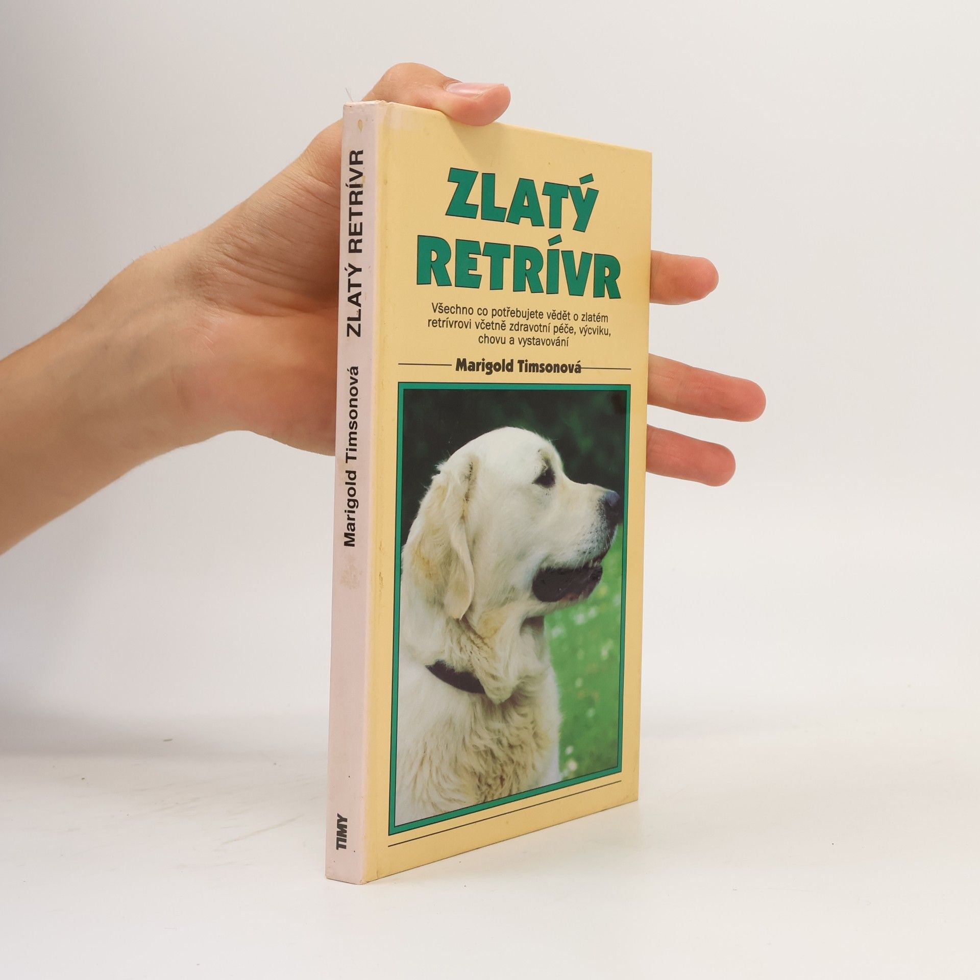 Marigold Timson Zlatý retriever