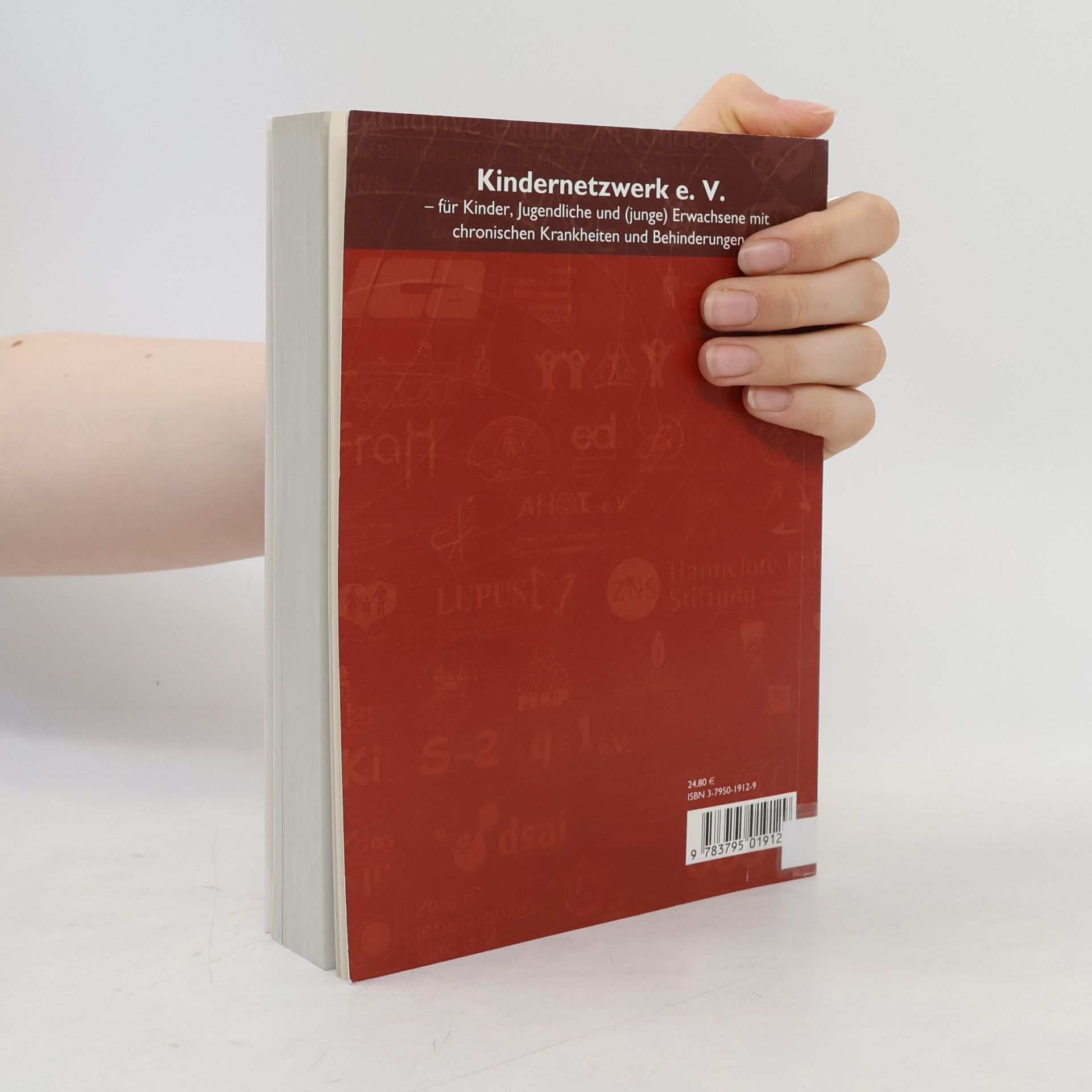 Raimund Schmid Kindernetzwerk-Reihe - 1: Wer hilft weiter?