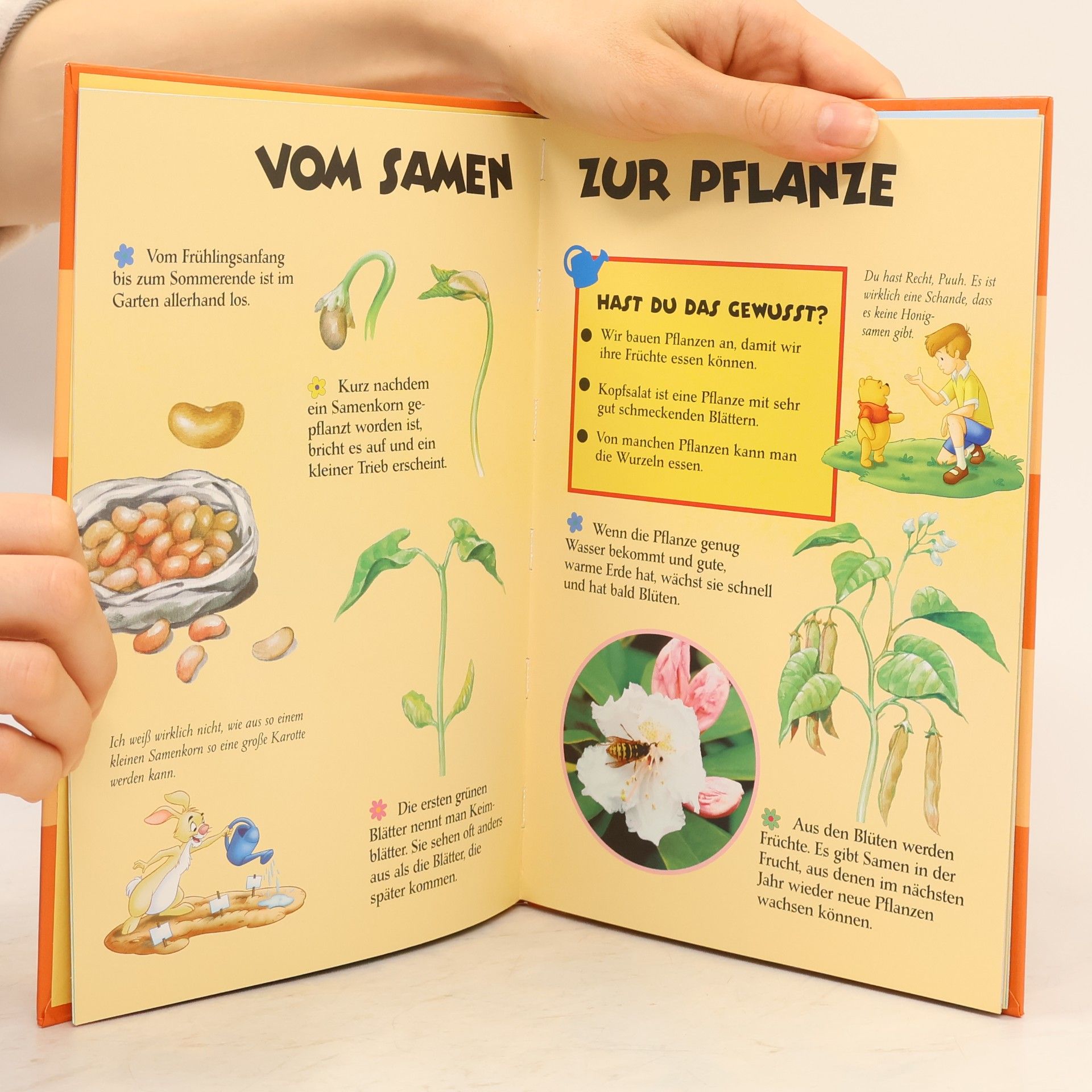 Autorenkollektiv Meine Bunte Welt. Im Garten.