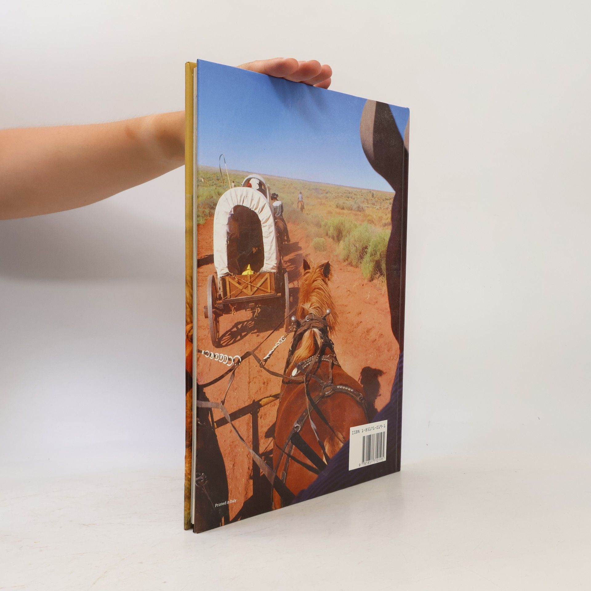 Tim Newark The American West