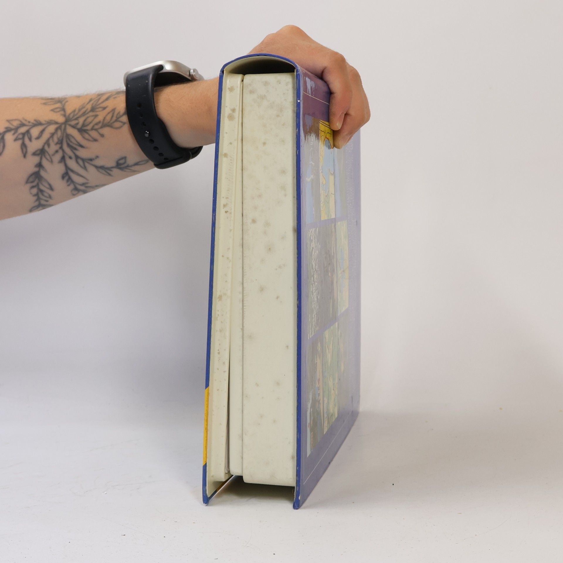 Various authors Zauber und Schönheit unserer Heimat 2