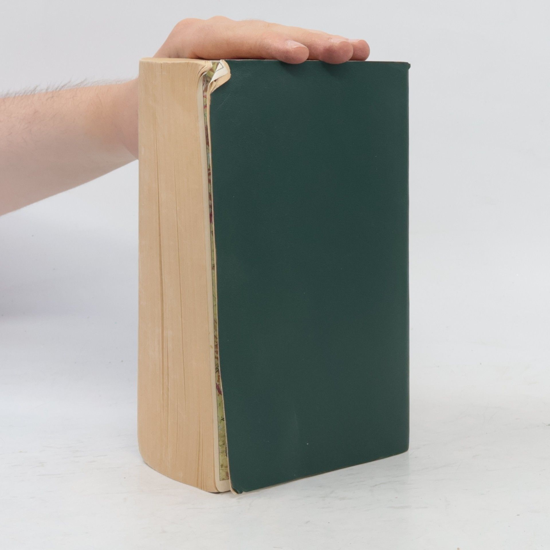 Auteurscollectief Die Bibel