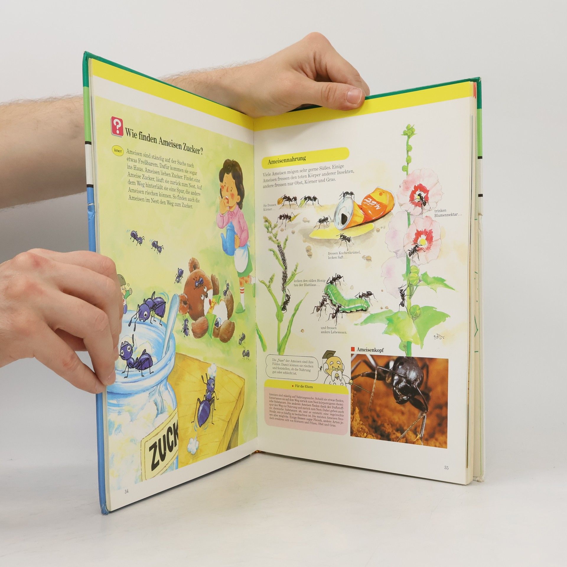 Marianne Tölle Kinder entdecken ... die Welt der Insekten