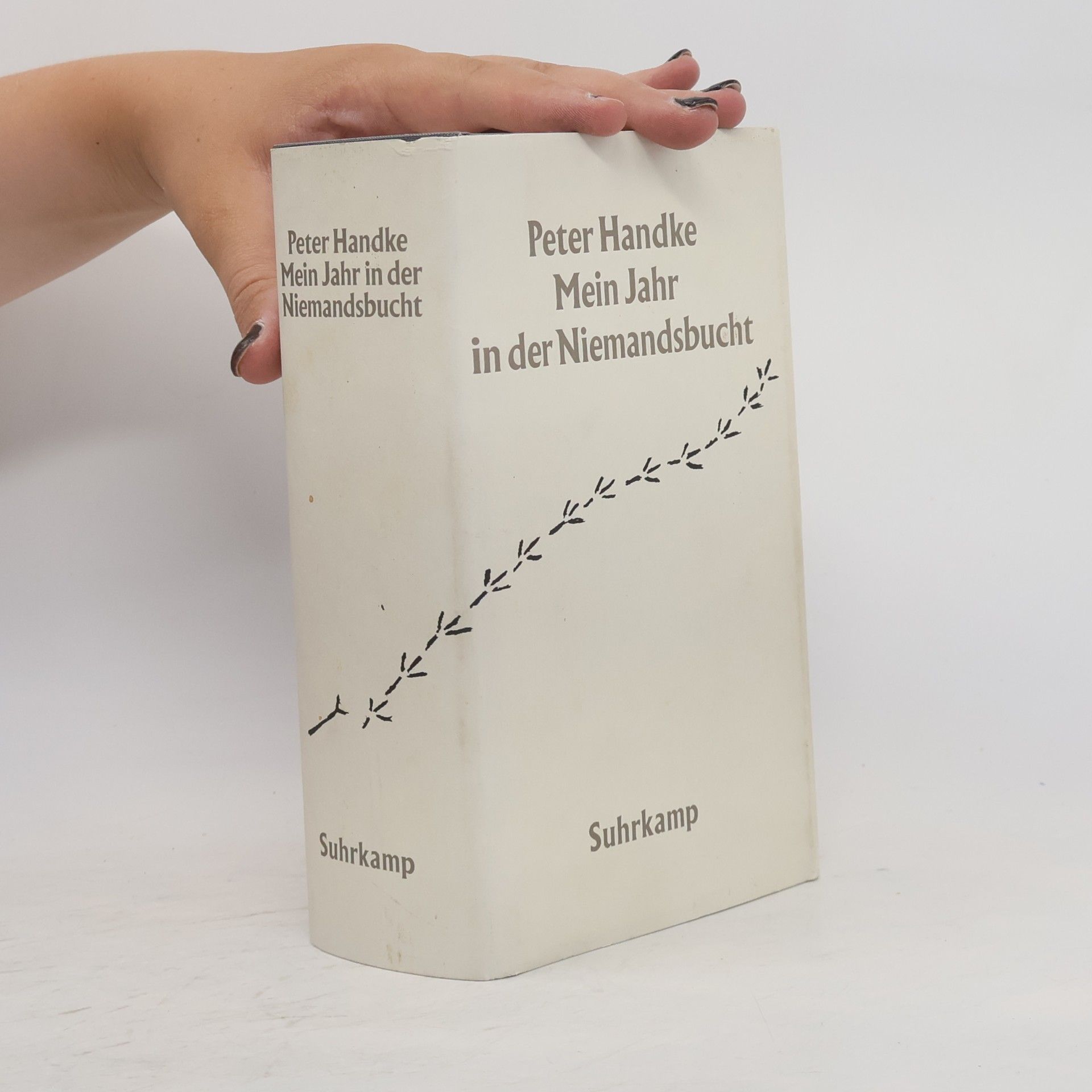 Peter Handke Mein Jahr in der Niemandsbucht