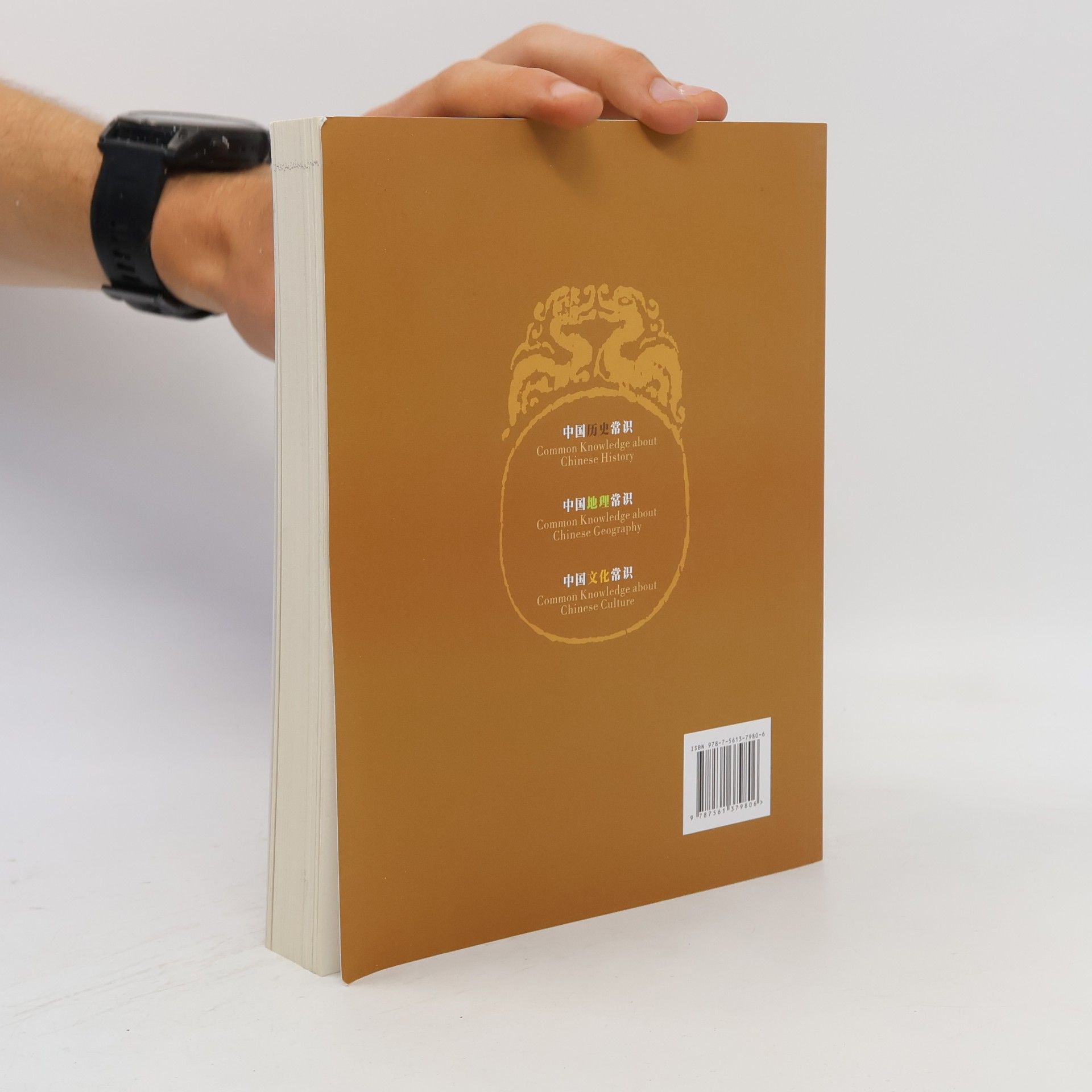 王恺 中国历史常识 / Common Knowledge about Chinese History