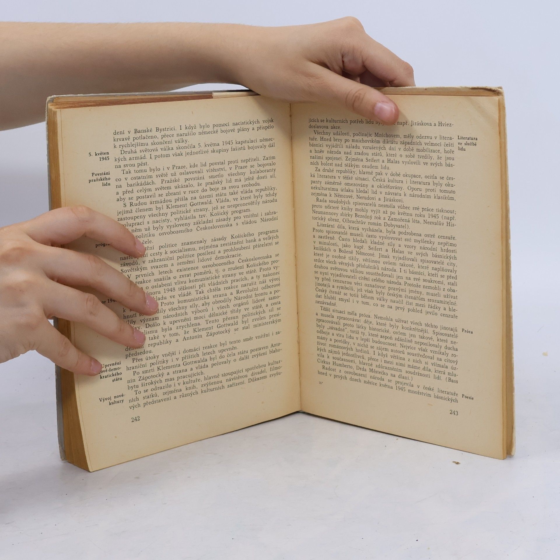 Vítězslav Tichý Stručné dějiny české a slovenské literatury