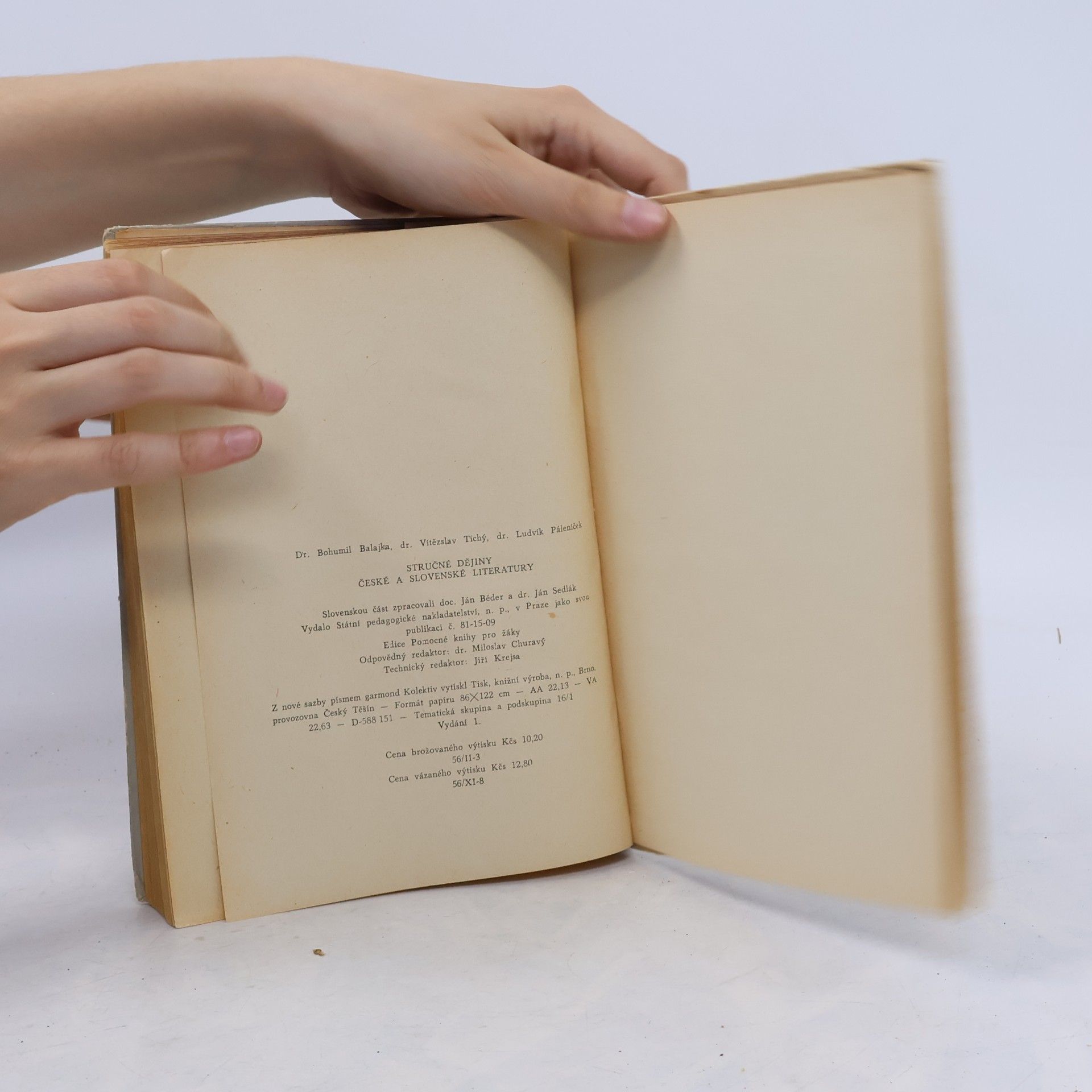 Vítězslav Tichý Stručné dějiny české a slovenské literatury