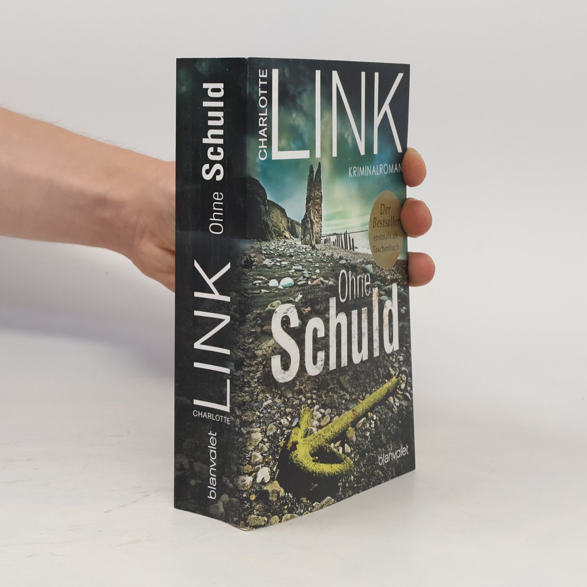 Charlotte Link Ohne Schuld