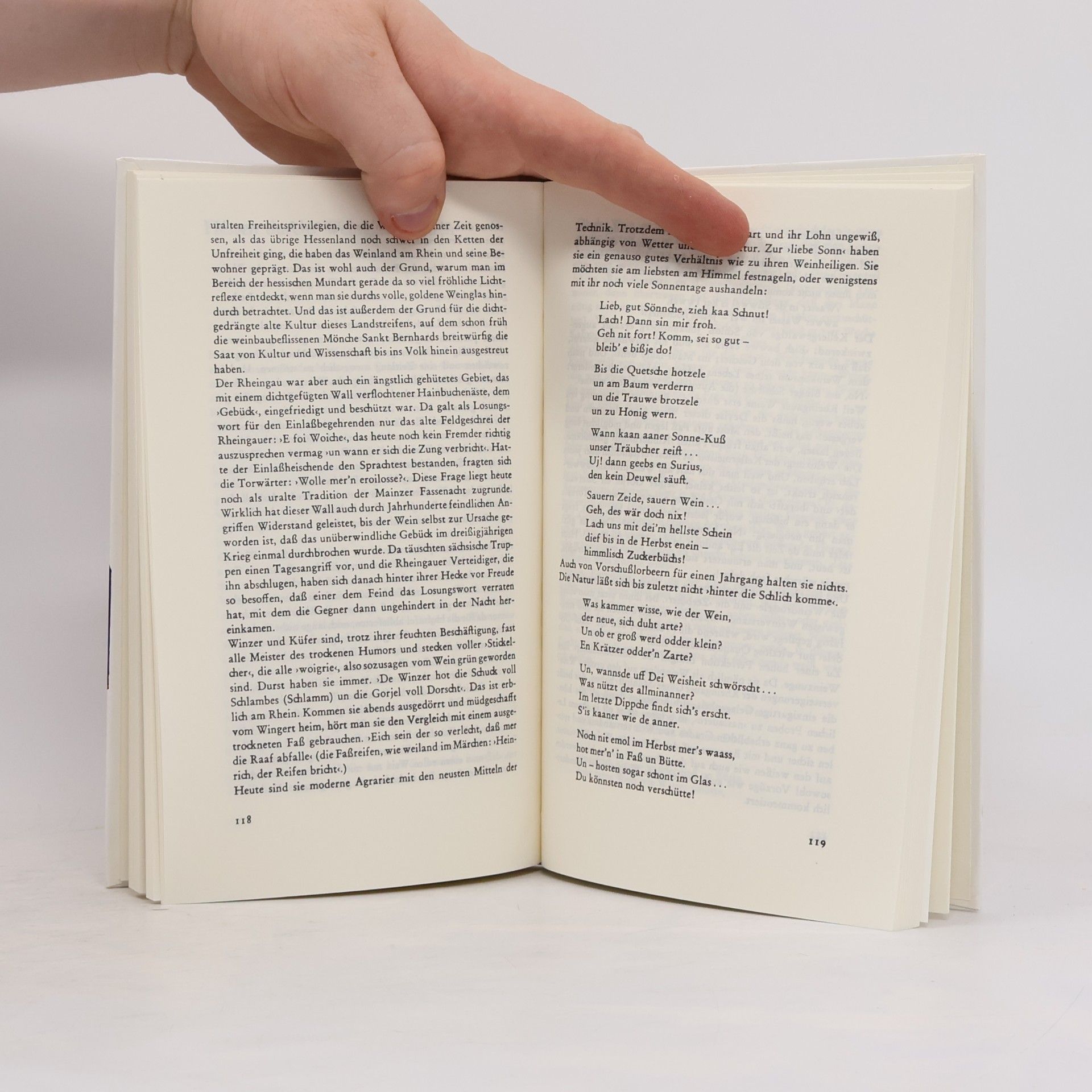 Hedwig Witte Hessisch, wie es nicht im Wörterbuch steht