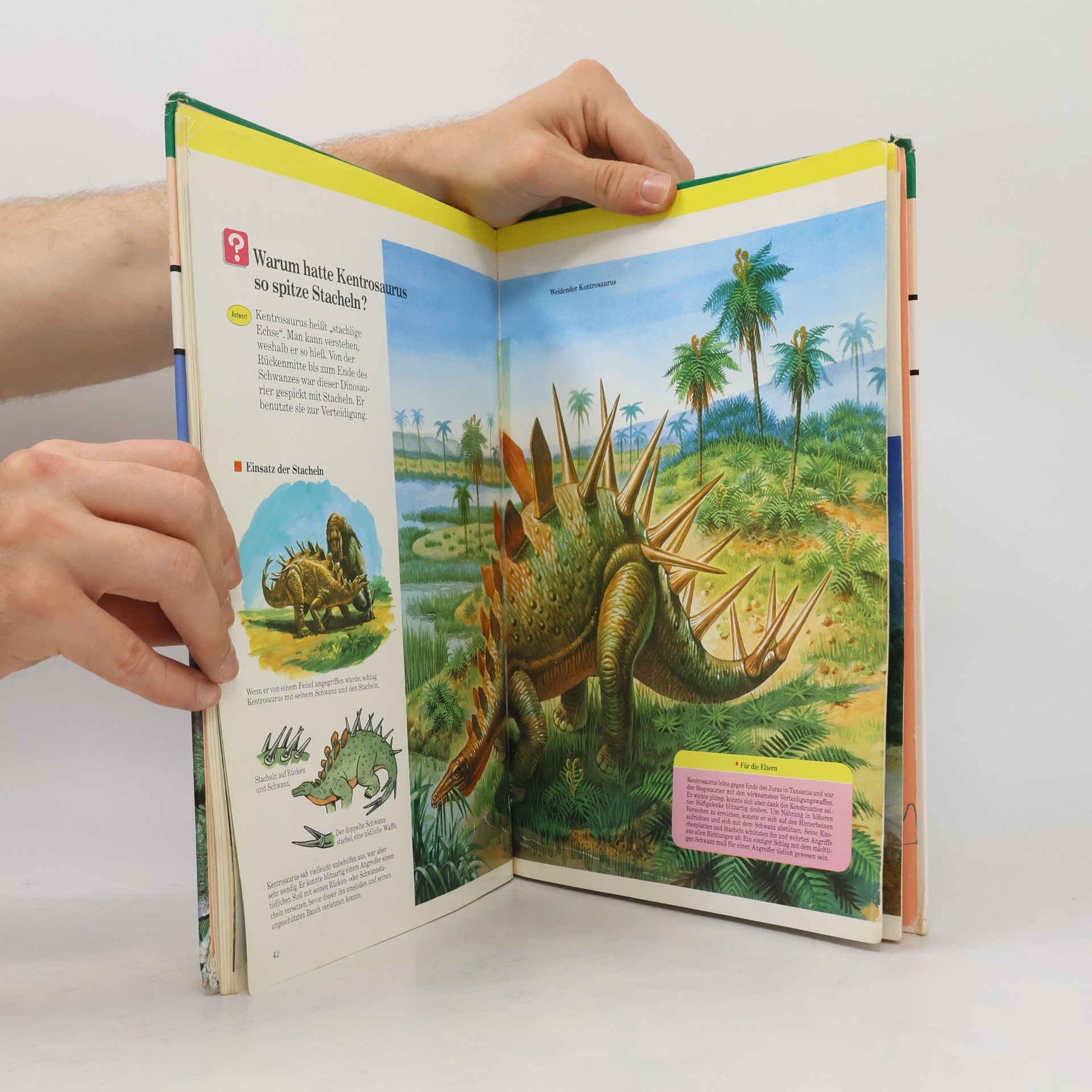 Kolektiv autorů Die Welt der Dinosaurier