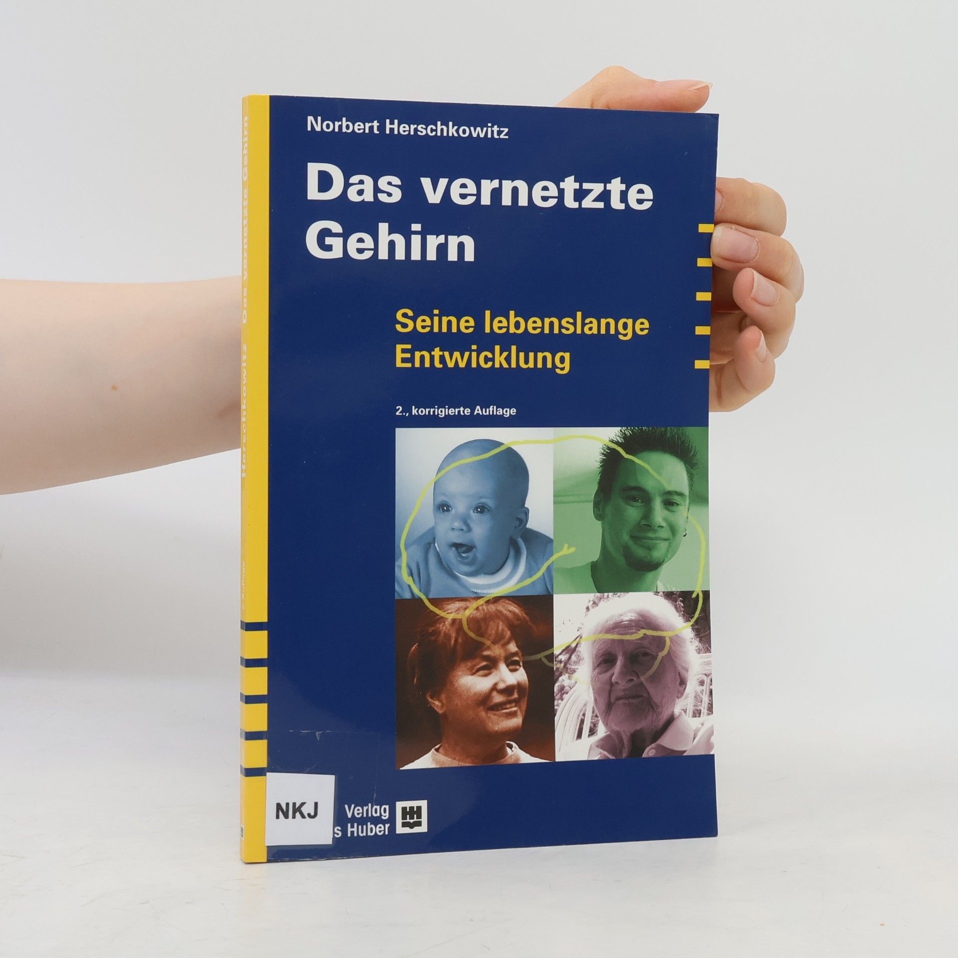 Das vernetzte Gehirn