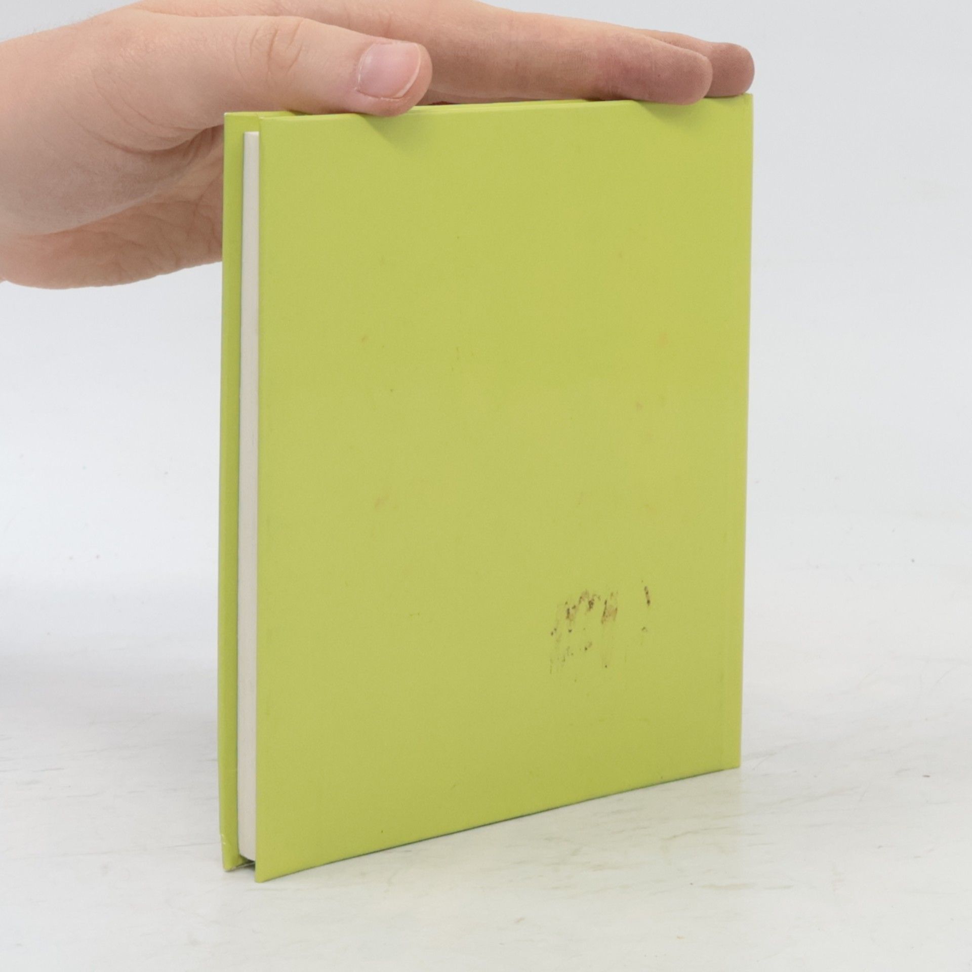 Anton Haller Das kleine Buch der naiven Maler