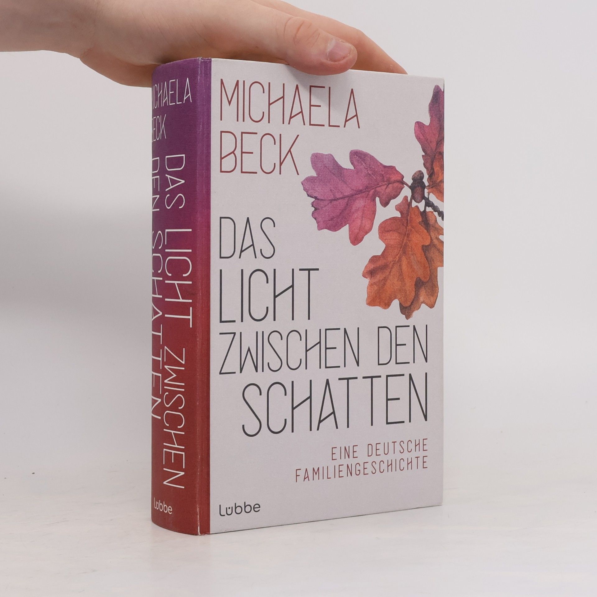 Michaela Beck Das Licht zwischen den Schatten