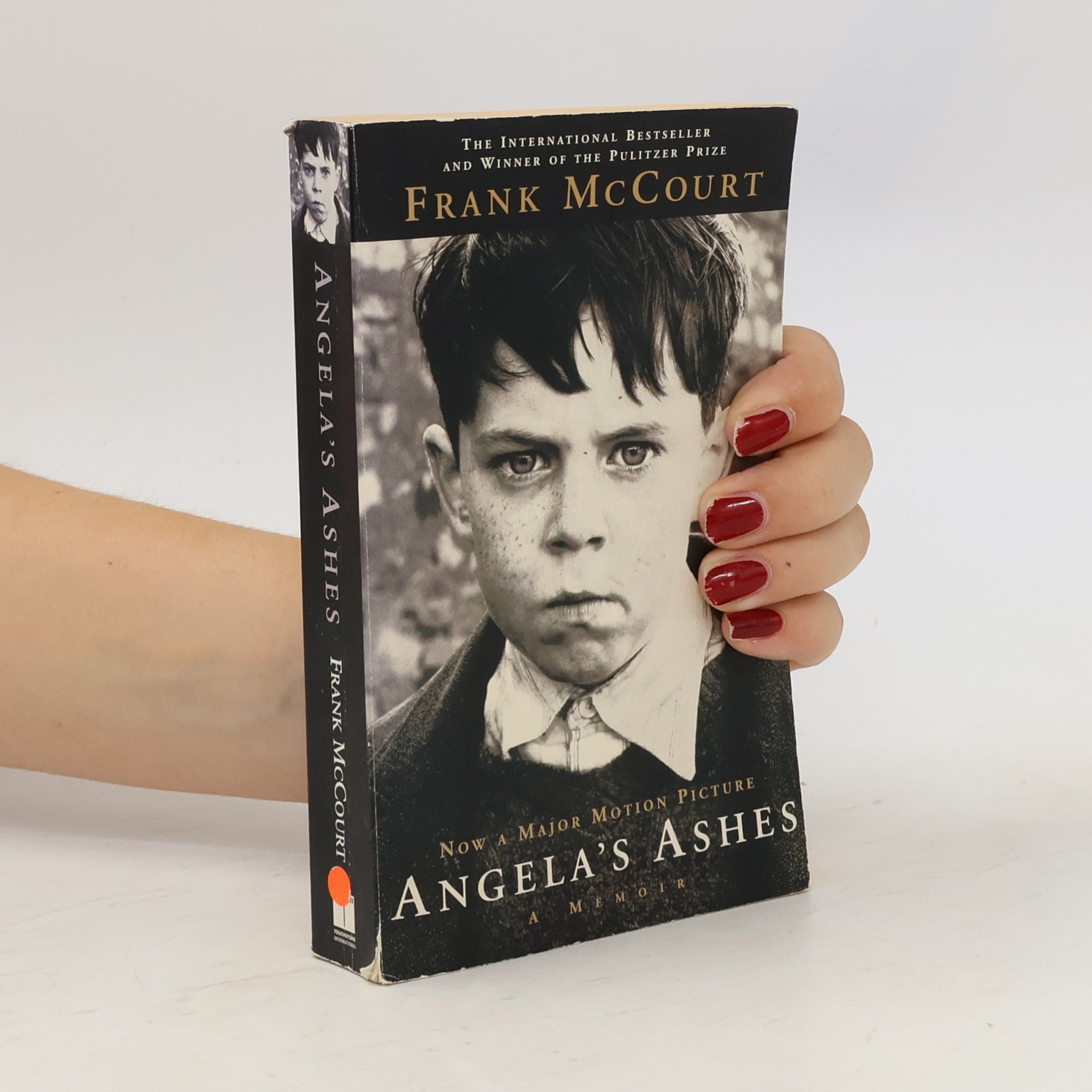 Frank McCourt Angela's Ashes