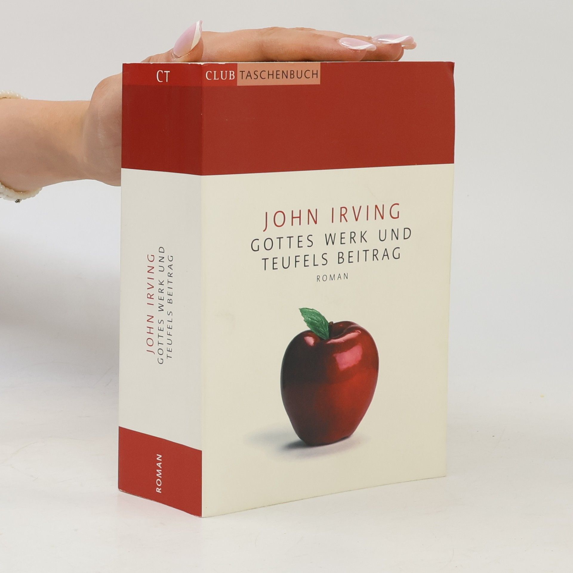 John Irving Gottes Werk und Teufels Beitrag