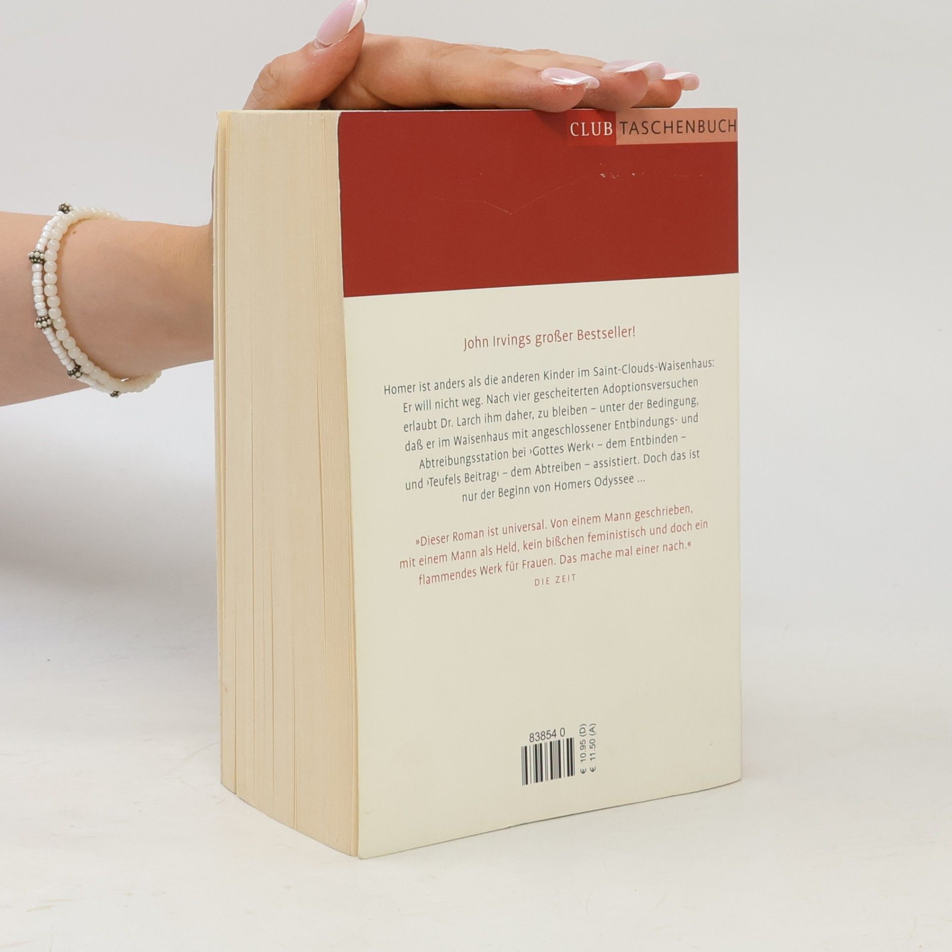 John Irving Gottes Werk und Teufels Beitrag