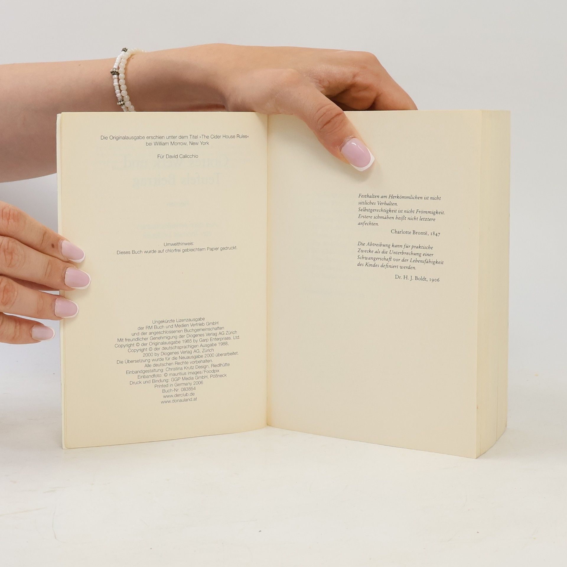 John Irving Gottes Werk und Teufels Beitrag