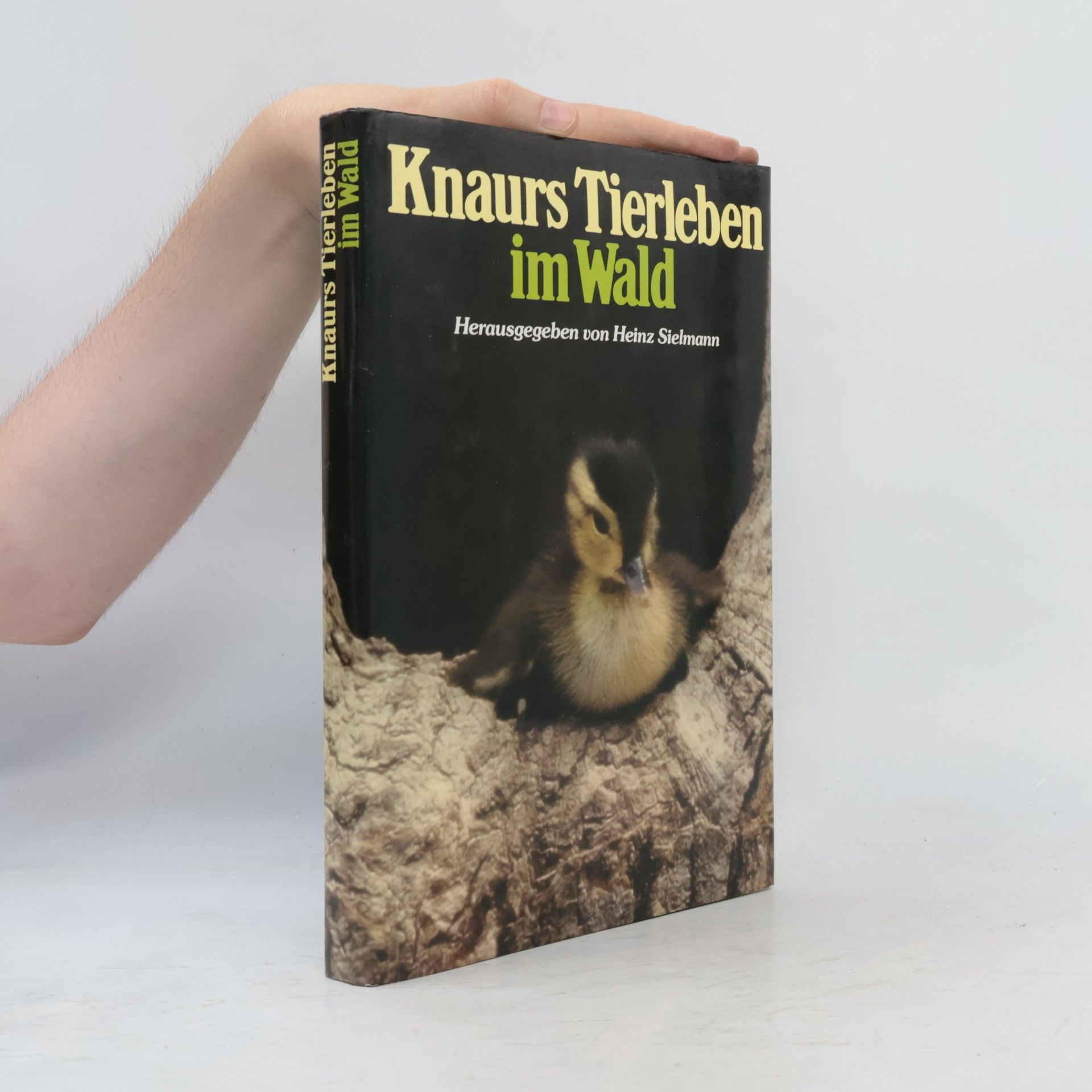 Heinz Sielmann Knaurs Tierleben im Wald