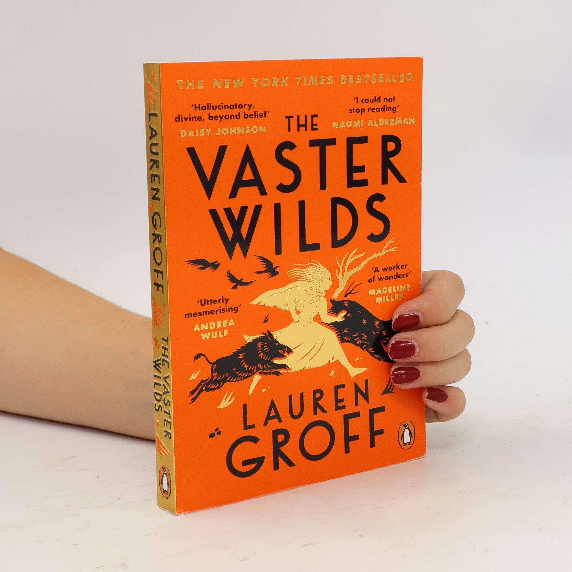 Lauren Groff The Vaster Wilds