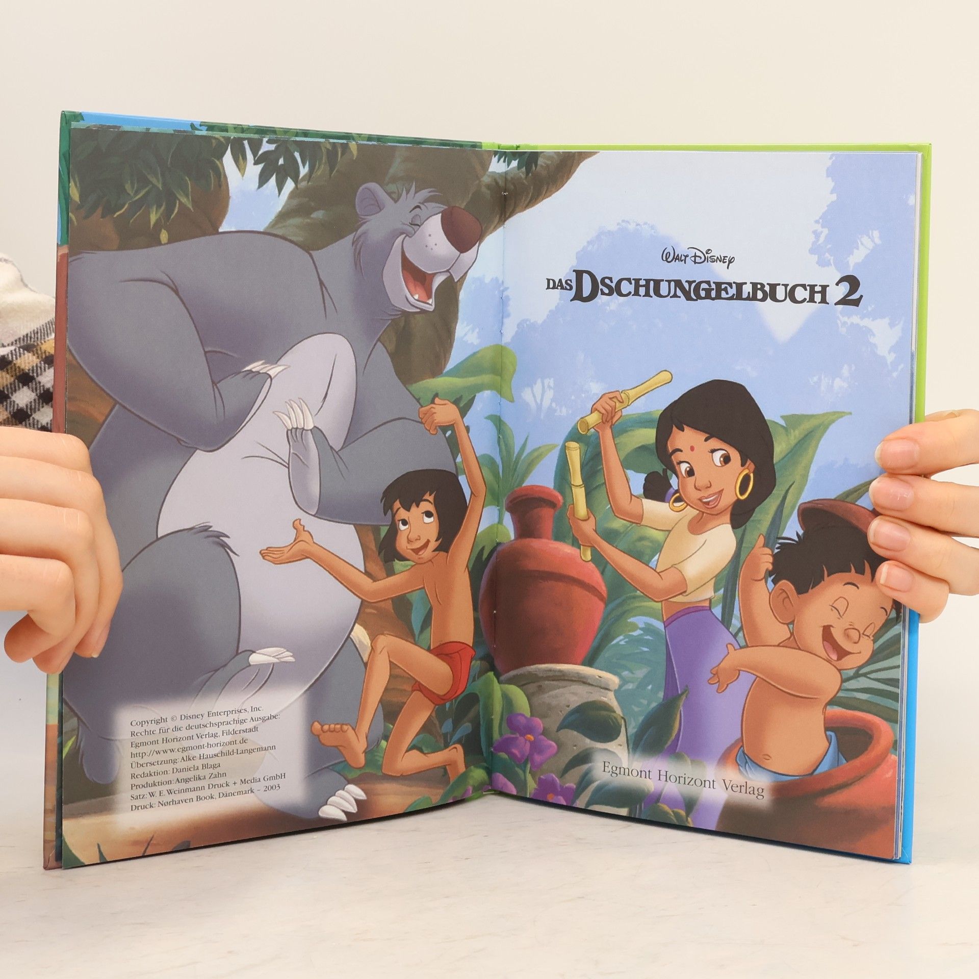 Walt Disney Das Dschungelbuch 2