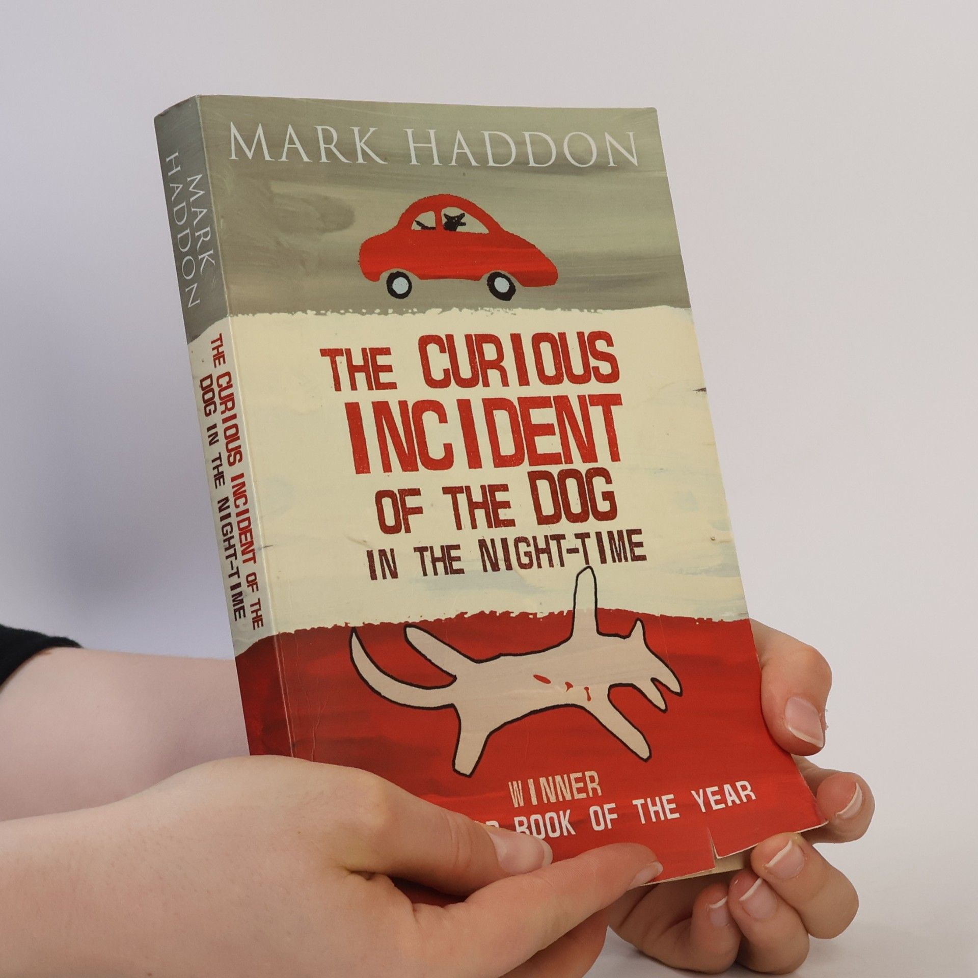 Mark Haddon The curious incident of the dog in the night-time