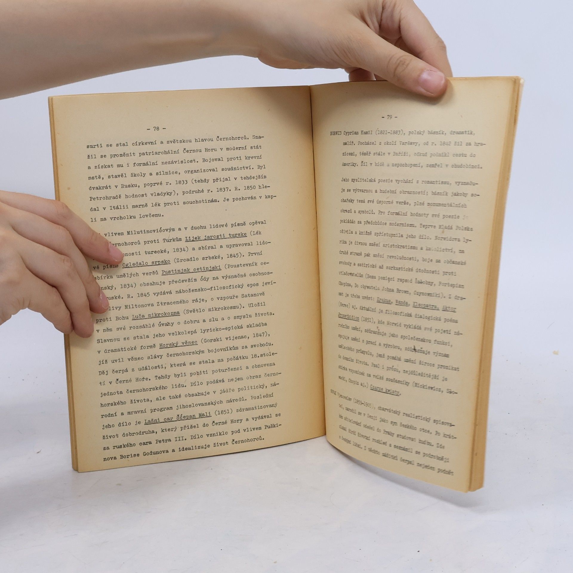 Kolektív autorov Slovanské literatury II. část
