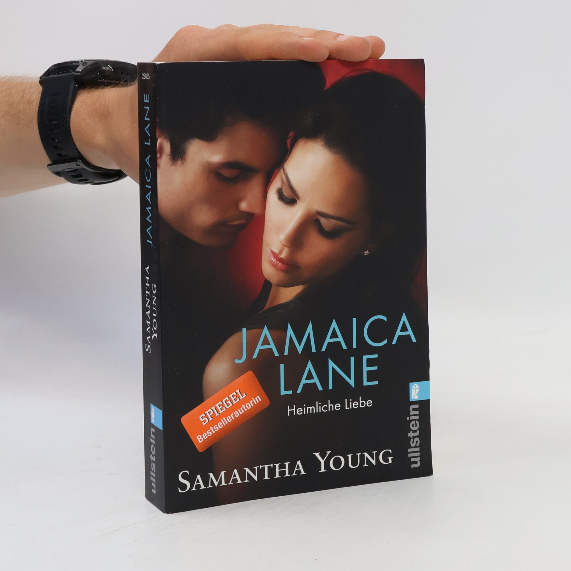 Samantha Young Jamaica Lane: Heimliche Liebe