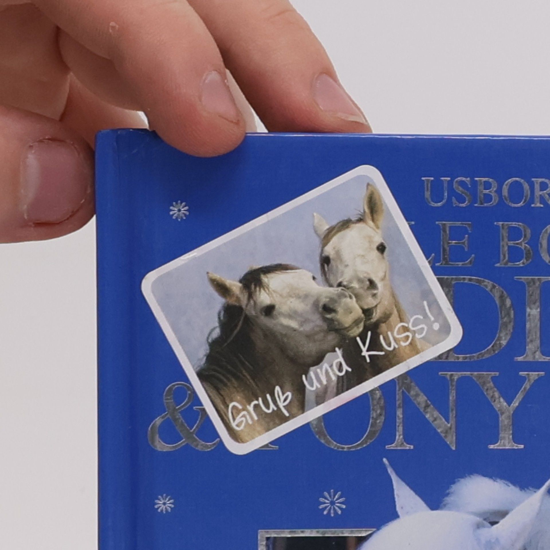 Rosie Dickins Usborne Miniature Editions: Little Book of Riding and Pony Care