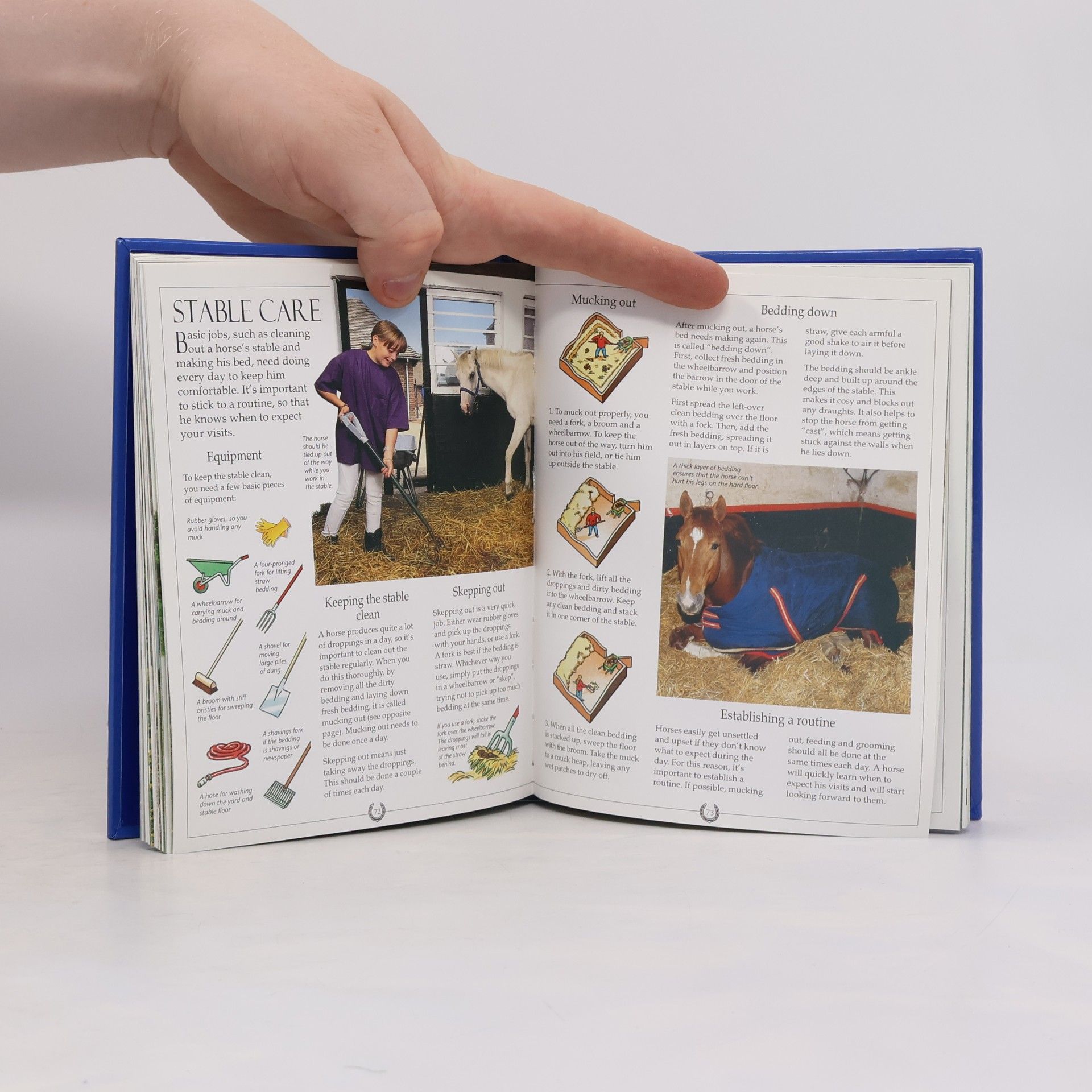 Rosie Dickins Usborne Miniature Editions: Little Book of Riding and Pony Care