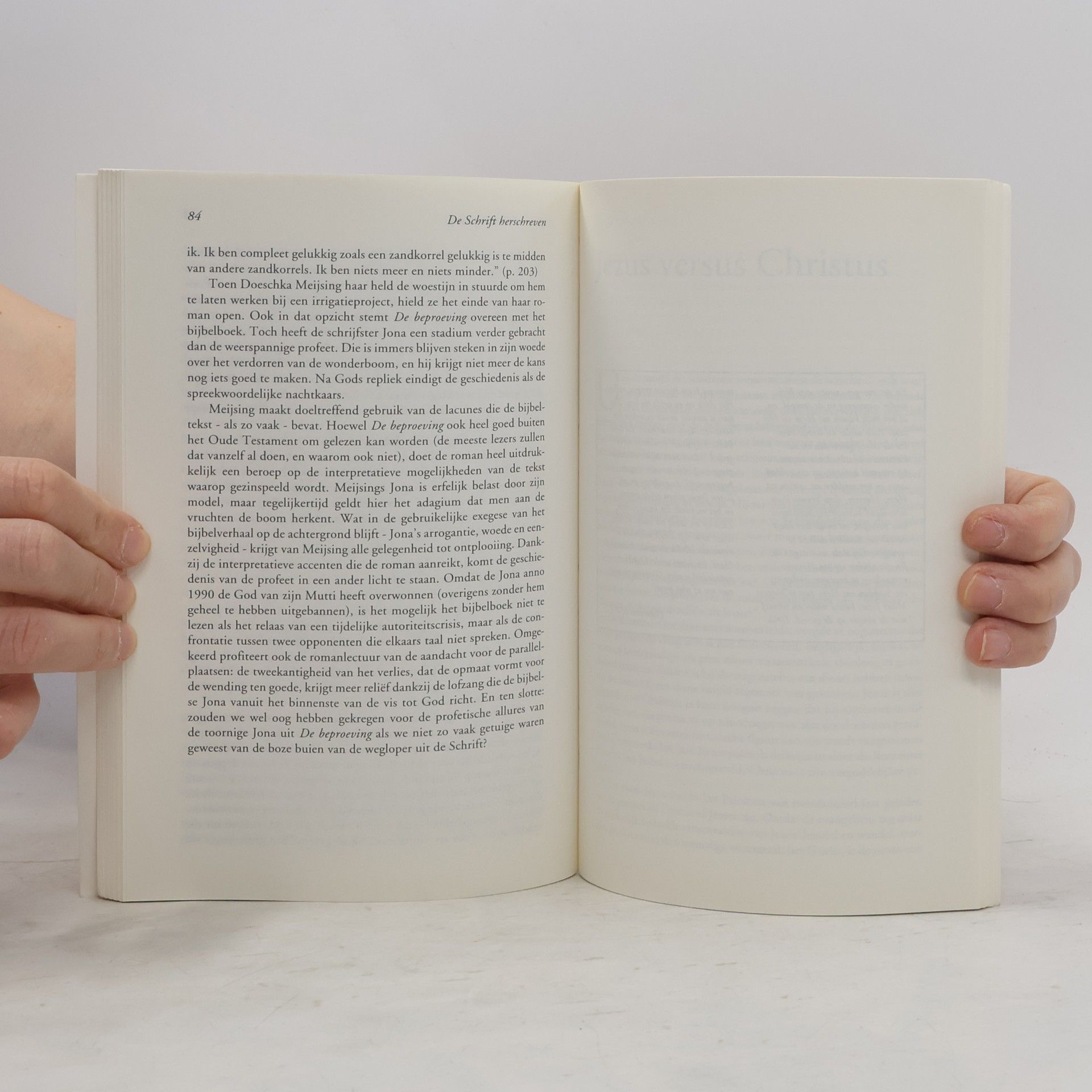 Jaap Goedegebuure De Schrift herschreven