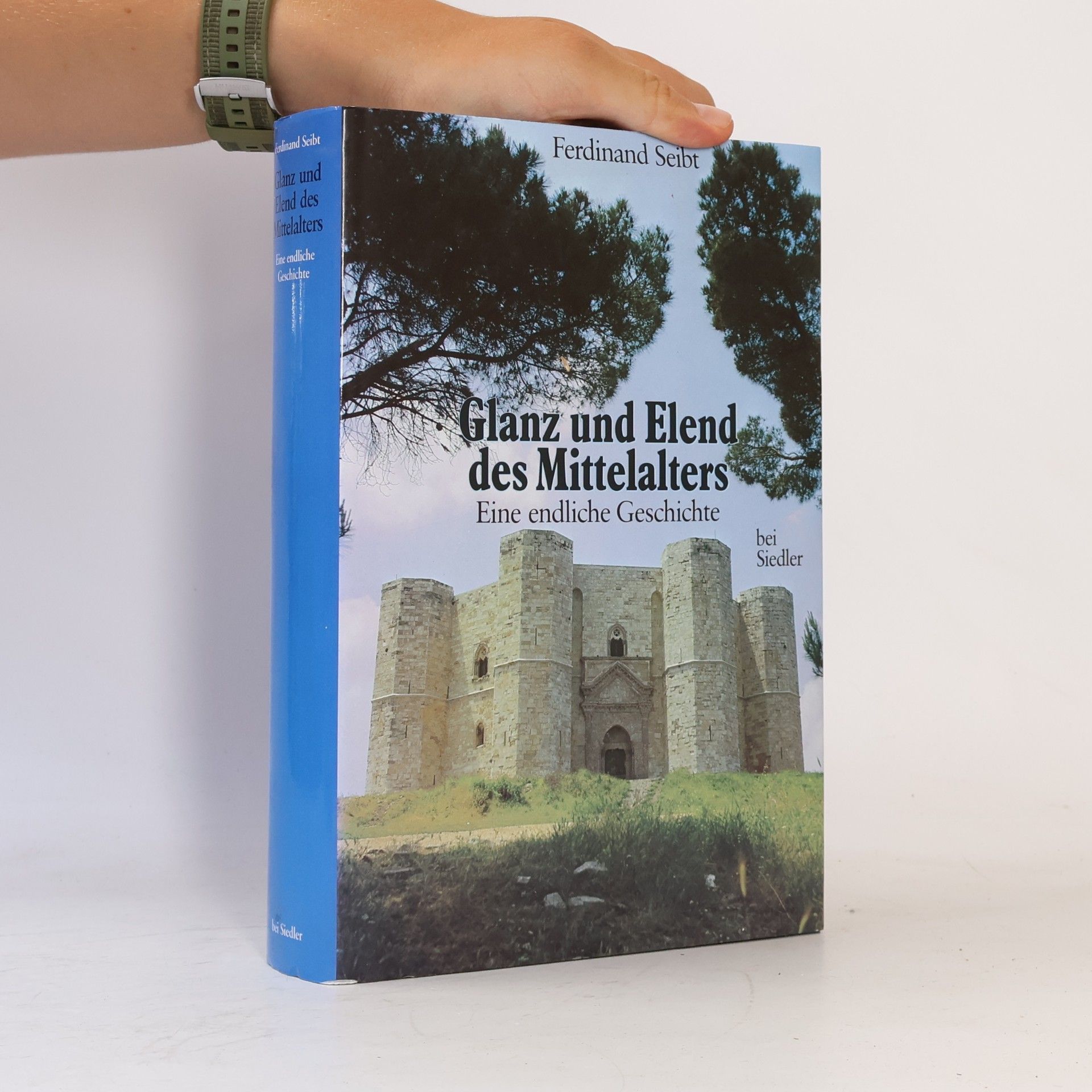 Ferdinand Seibt Glanz und Elend des Mittelalters. Eine endliche Geschichte