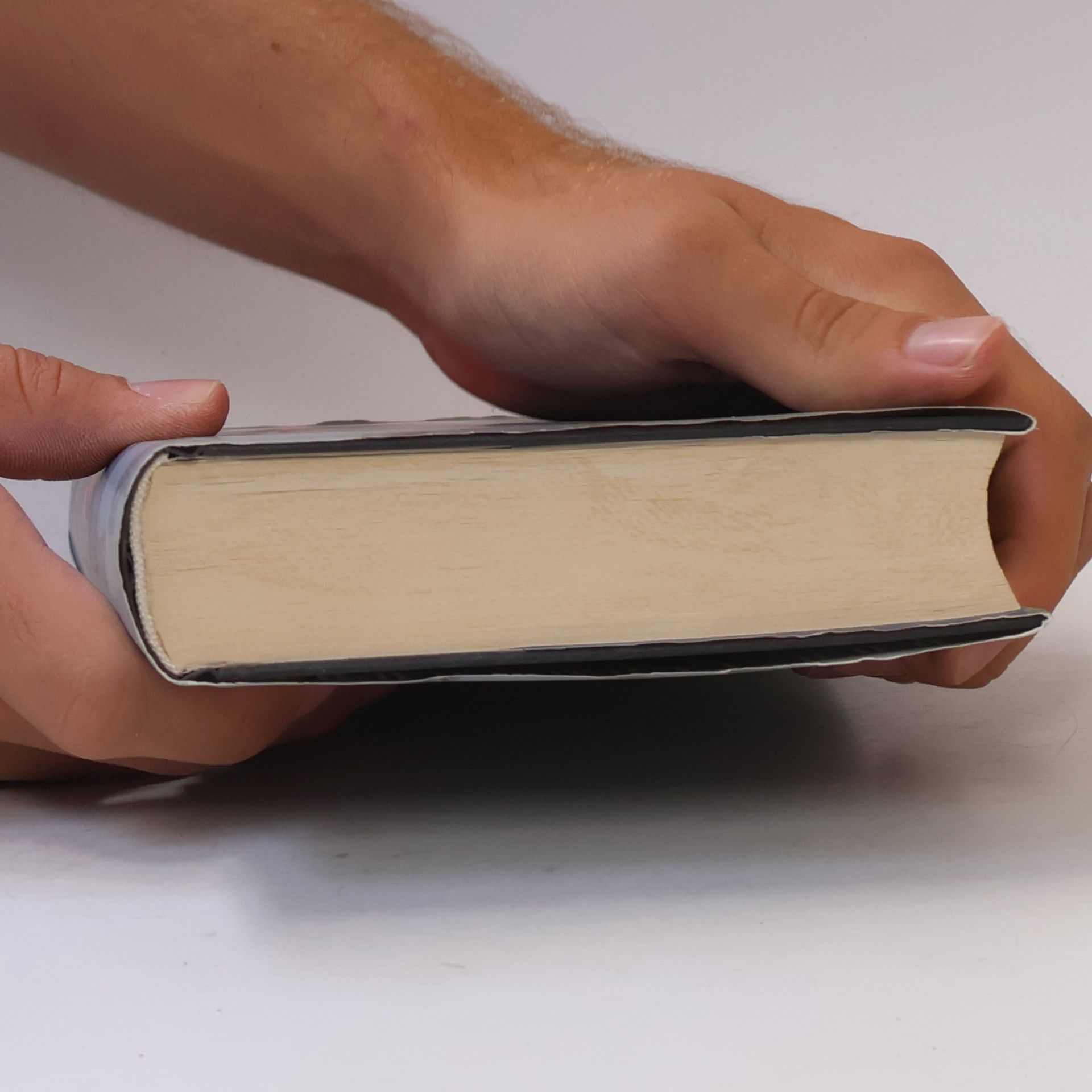 Arundhati Roy Der Gott der Kleinen Dinge