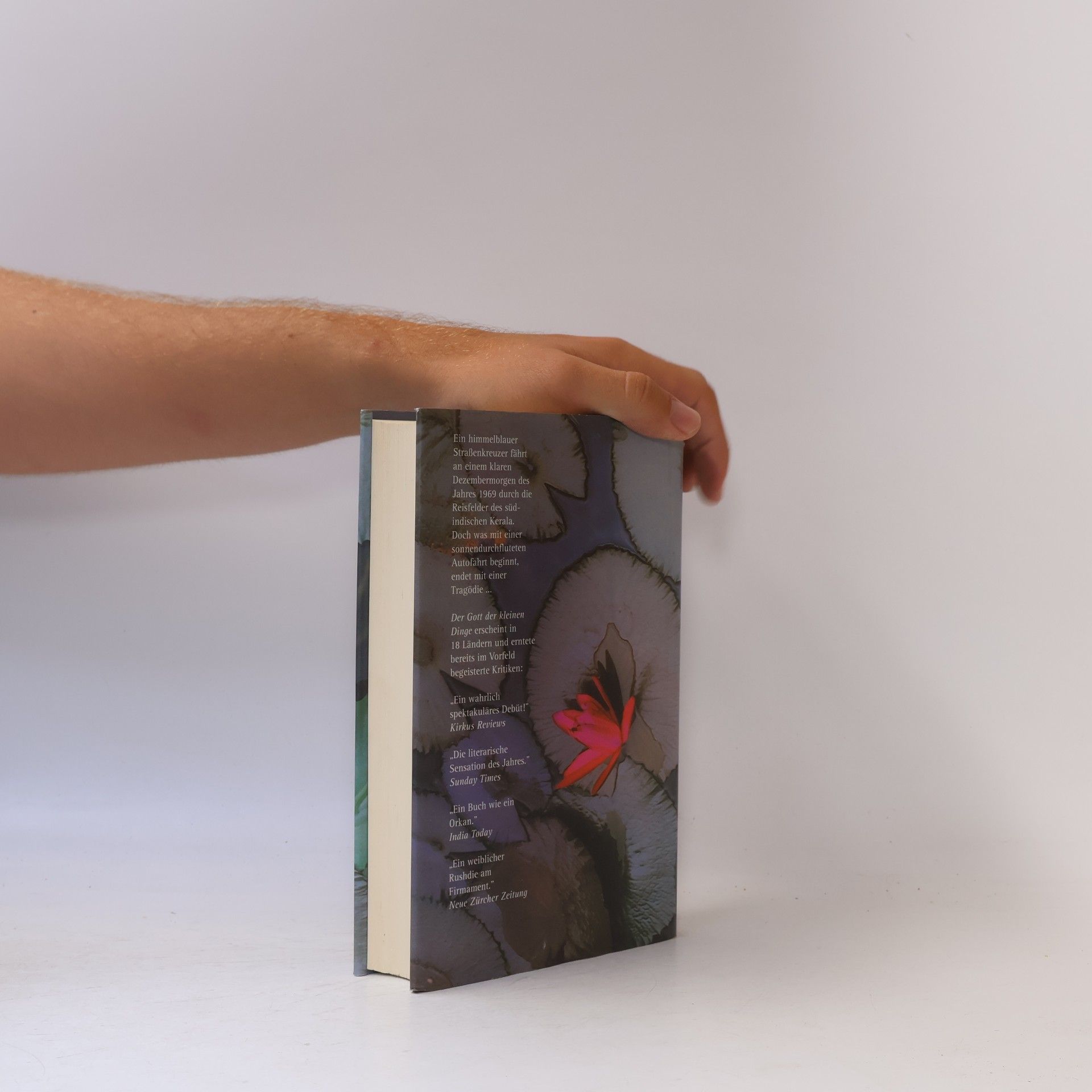 Arundhati Roy Der Gott der Kleinen Dinge