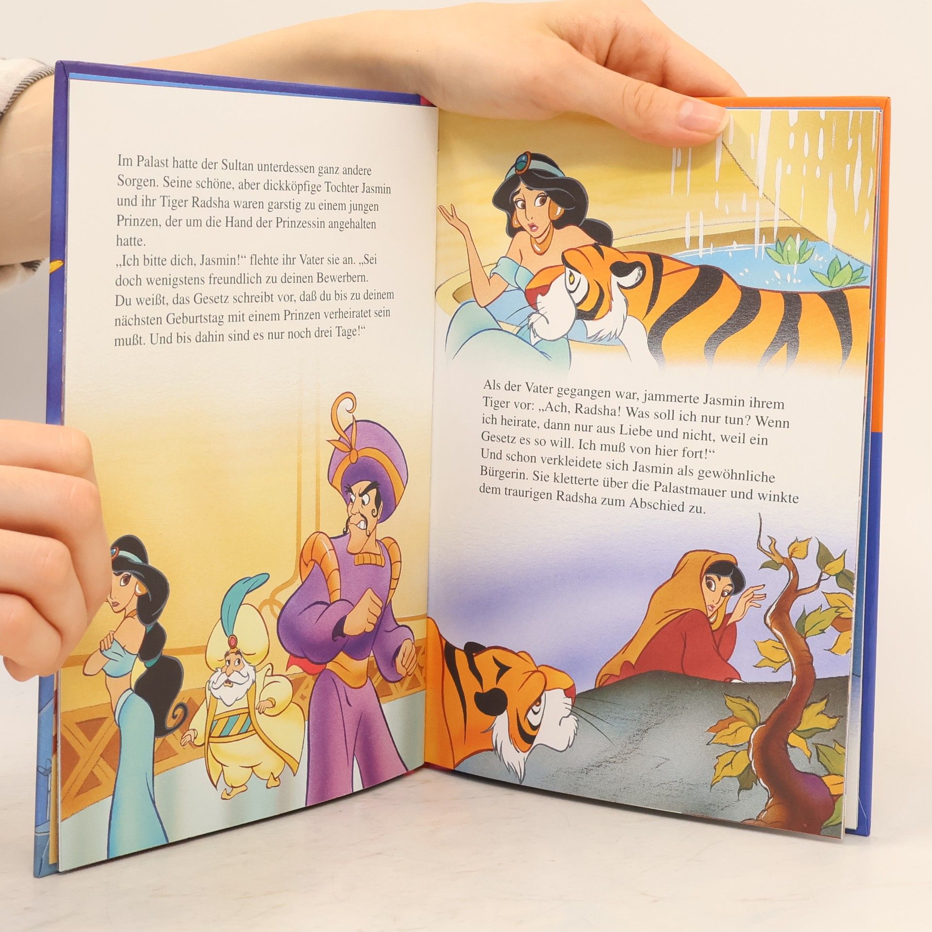 Walt Disney Aladdin