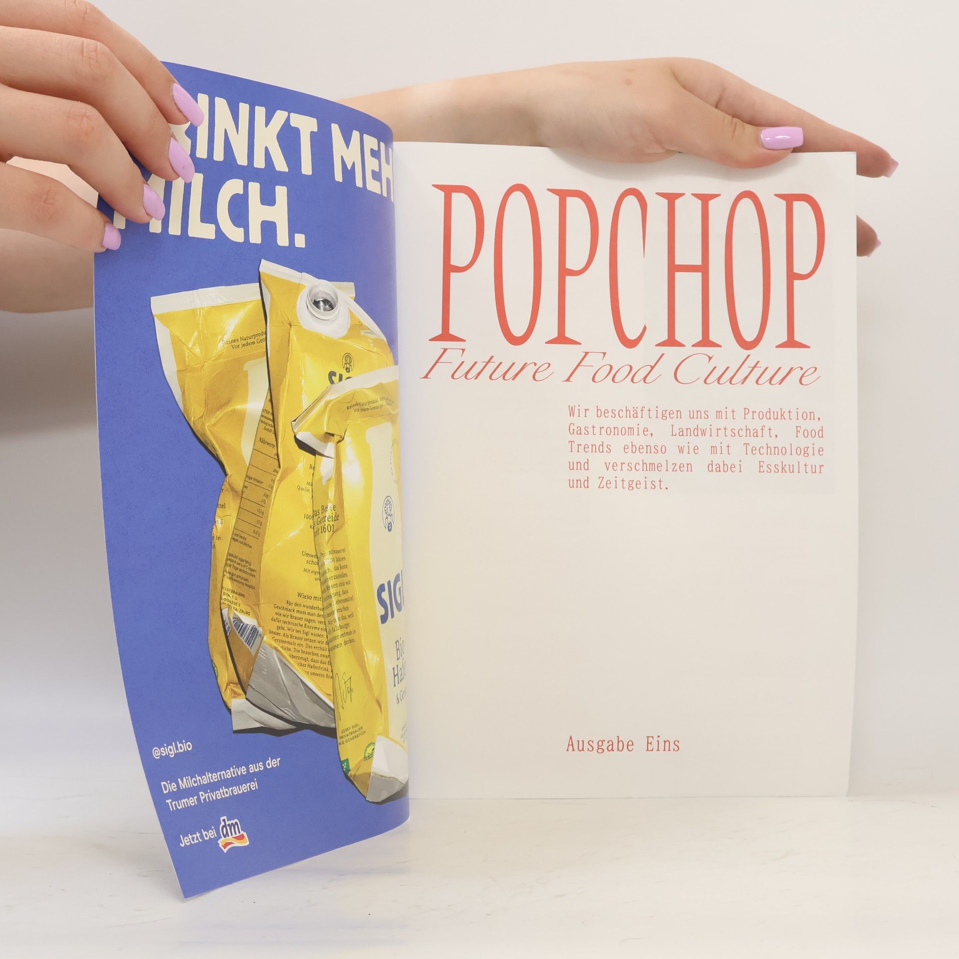 kolektiv Popchop. Future Food Culture